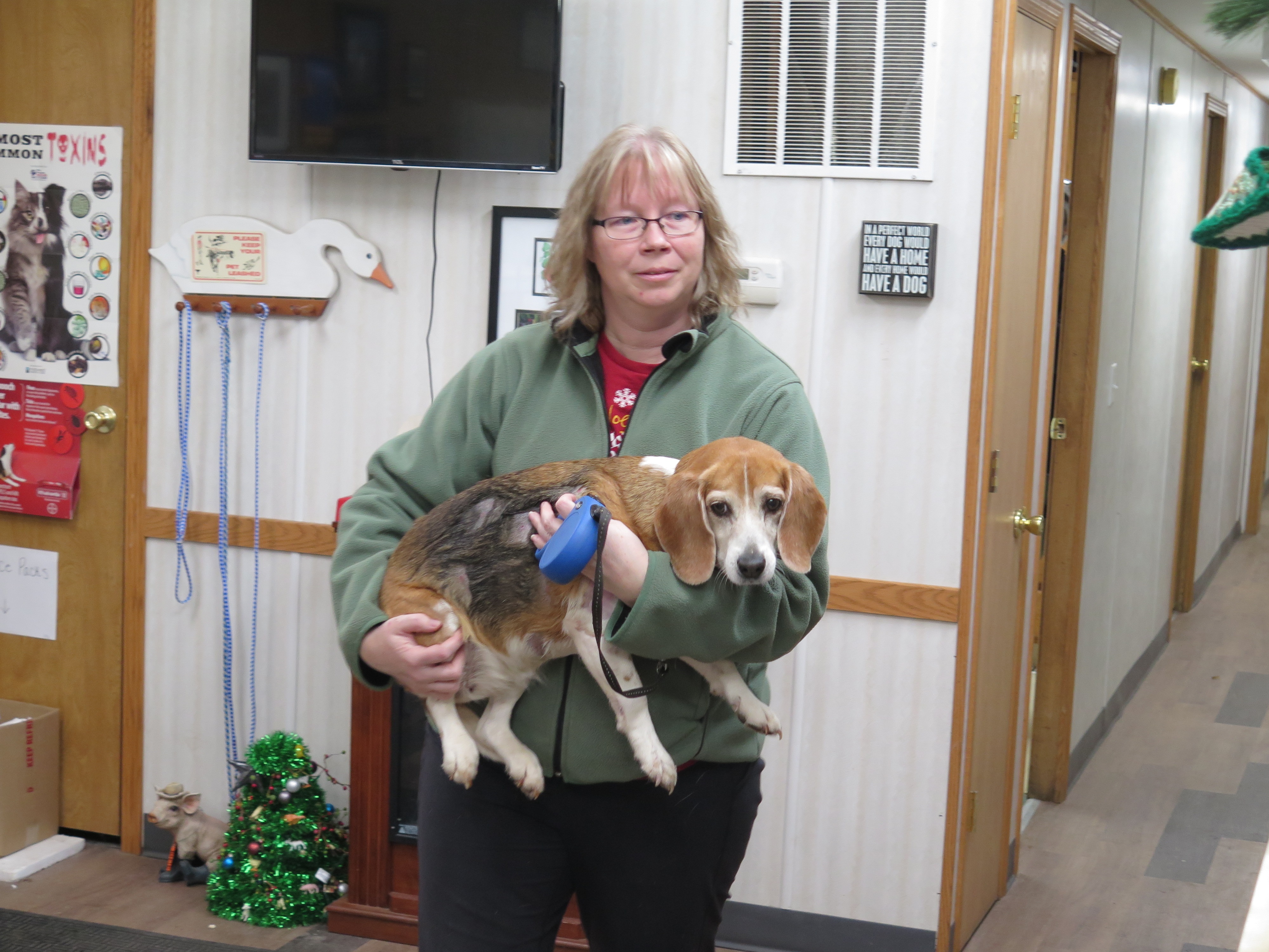 L'incroyable Dr Pol  Le grand retour.jpg