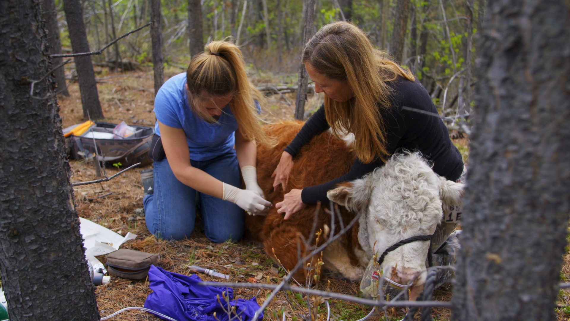 Michelle ou la vie sauvage  Mère Nature.jpg