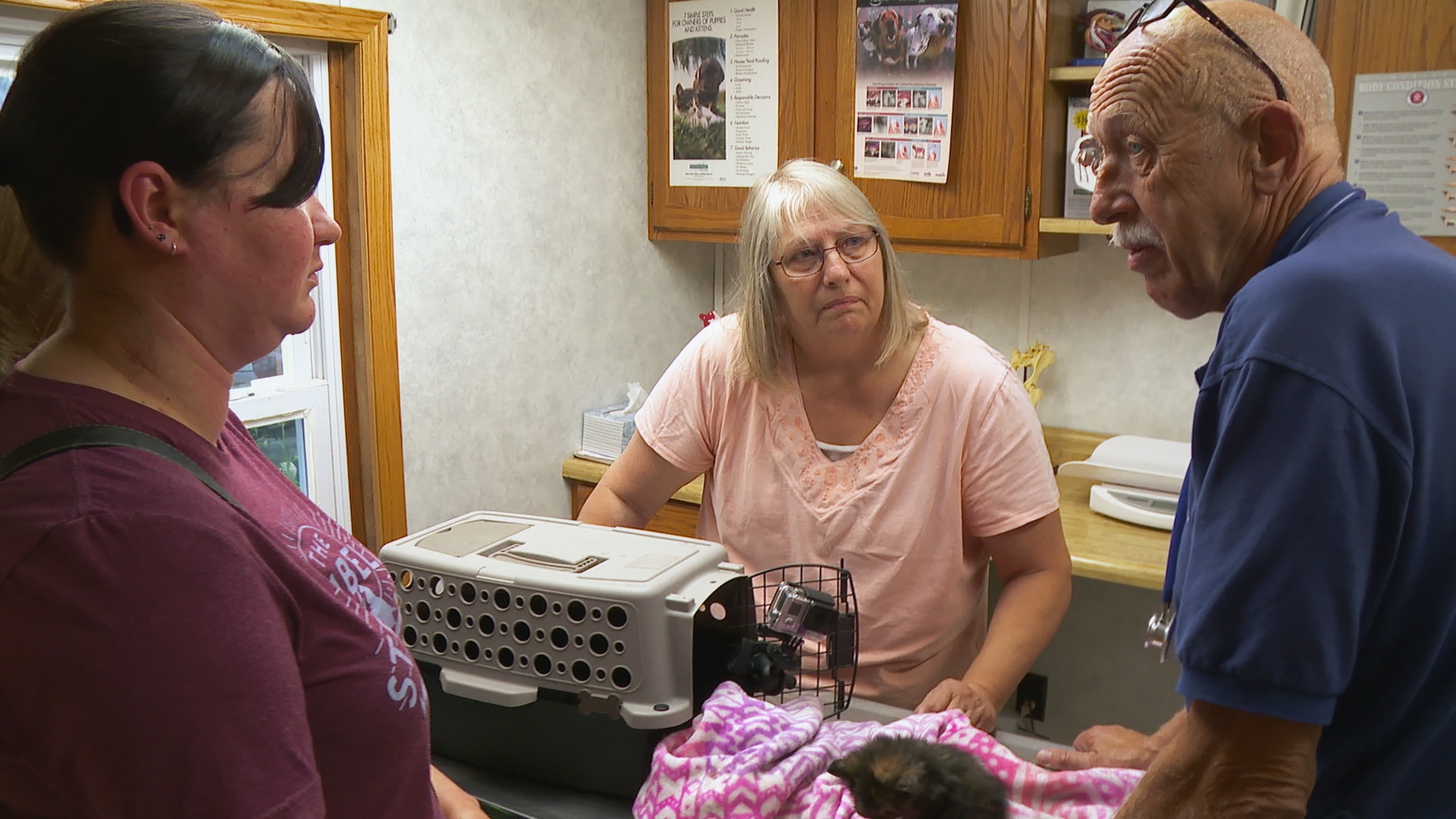 L'incroyable Dr Pol  Champ de bétail (3).jpg