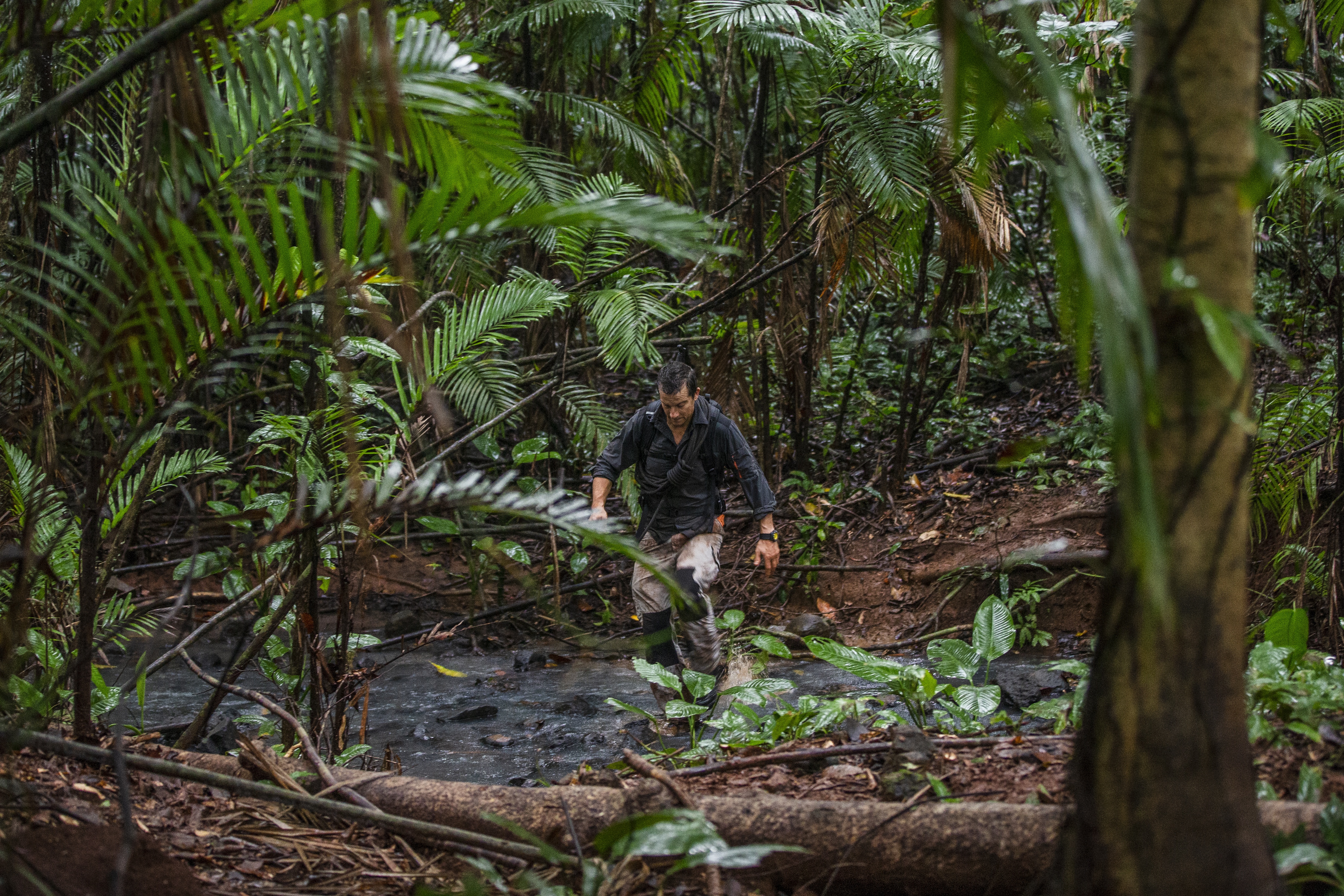 Planète Hostile  Au cœur de la jungle (2).jpg