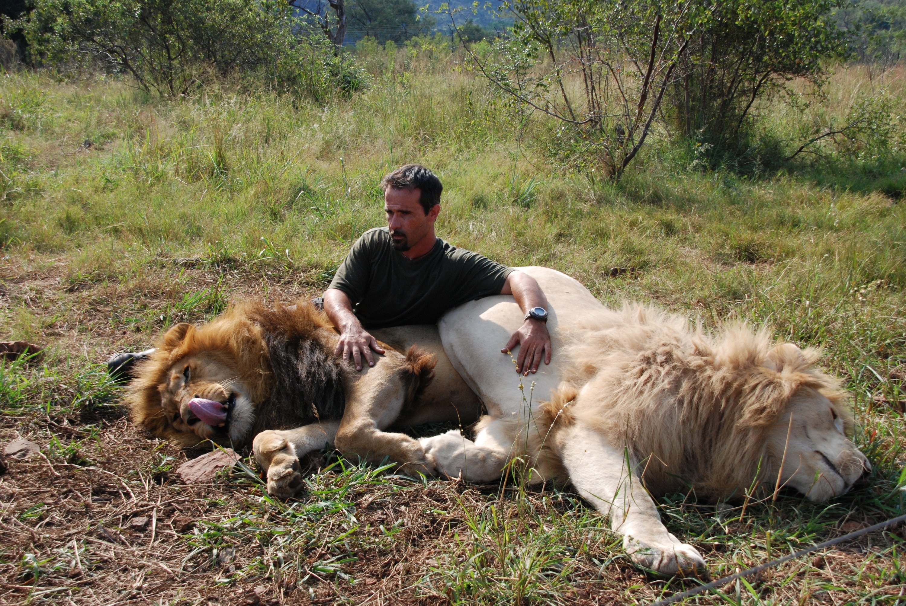 Ma vie avec les lions  Conspiration au royaume.JPG