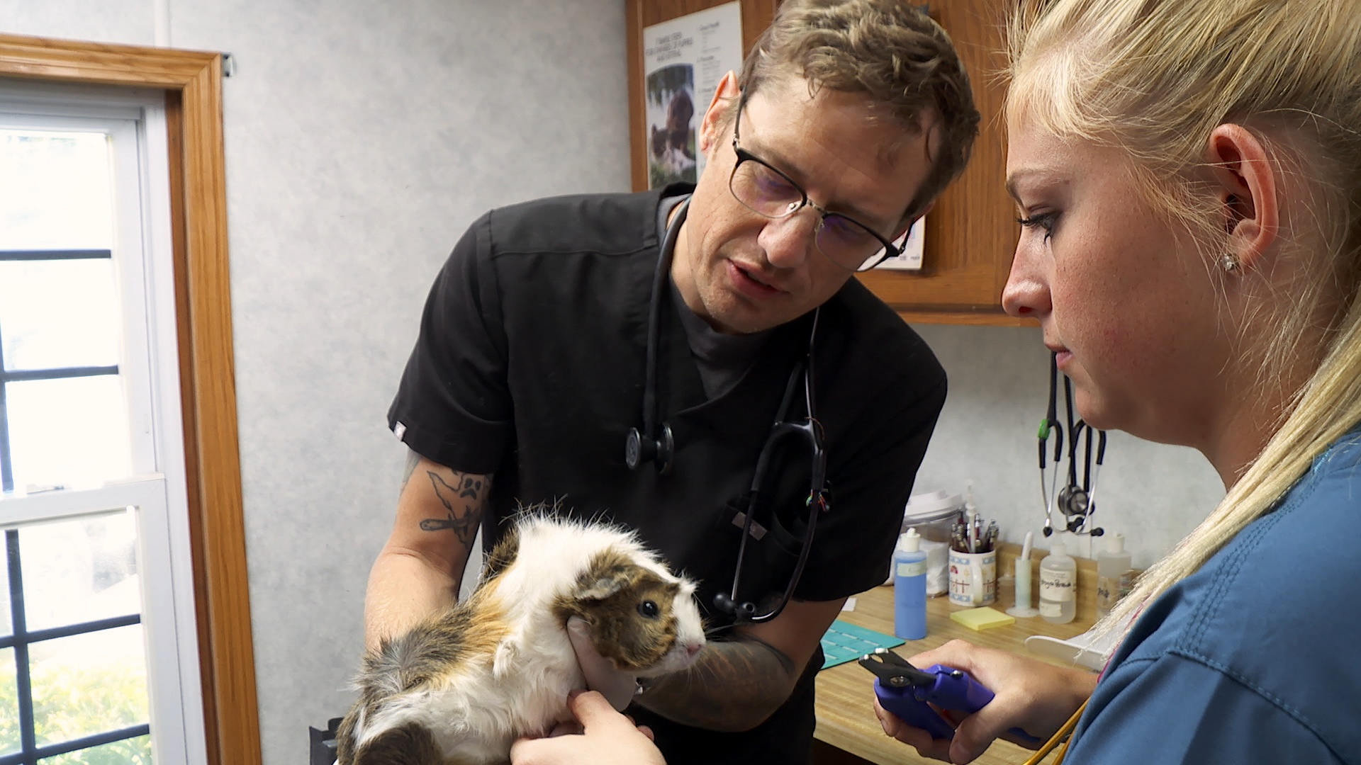 L'incroyable Dr Pol  Accident de la route (2).JPG