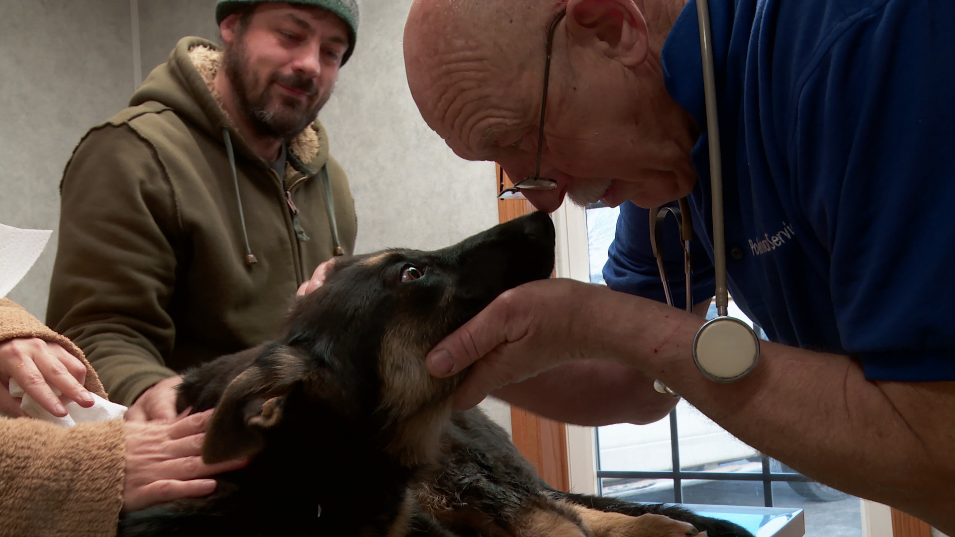 L'incroyable Dr Pol  Chiens en détresse (2).tif