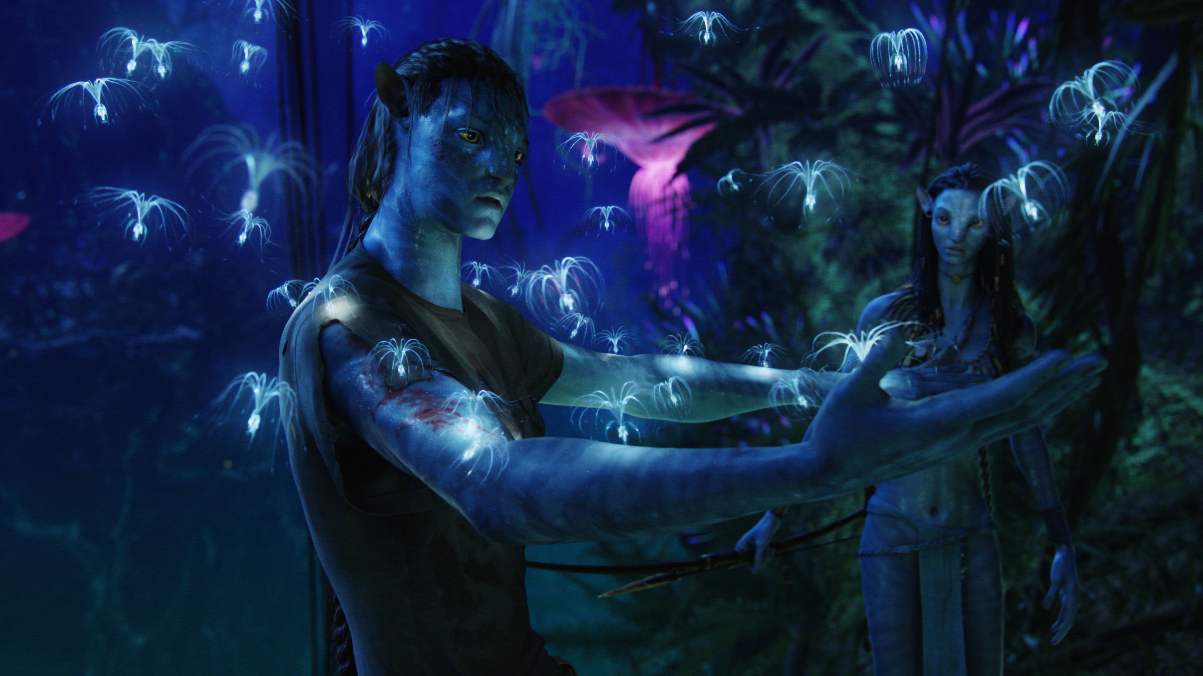 Avatar 1.jpg