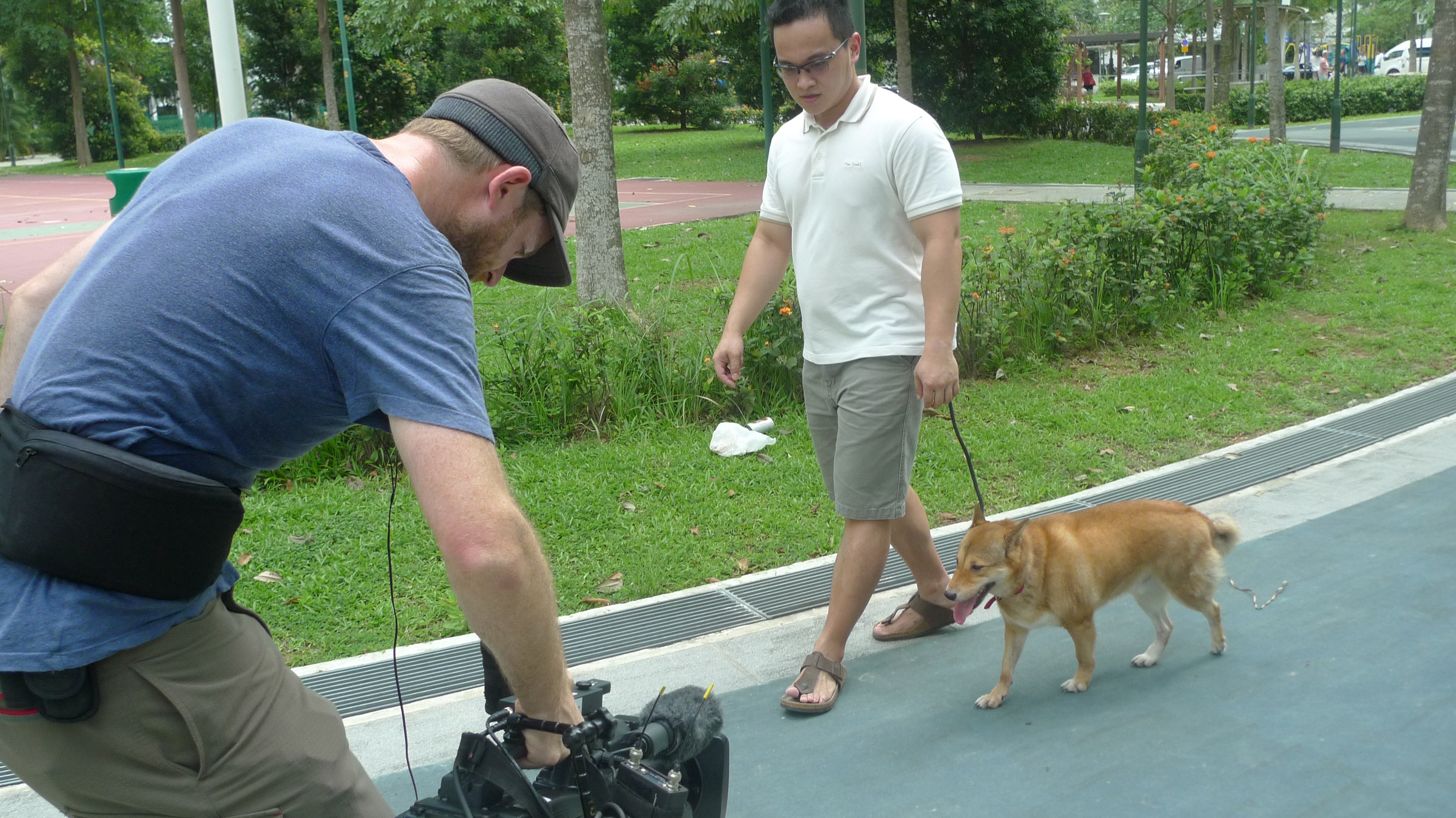 SOS Cesar en Asie  Le prisonnier canin (3).jpg
