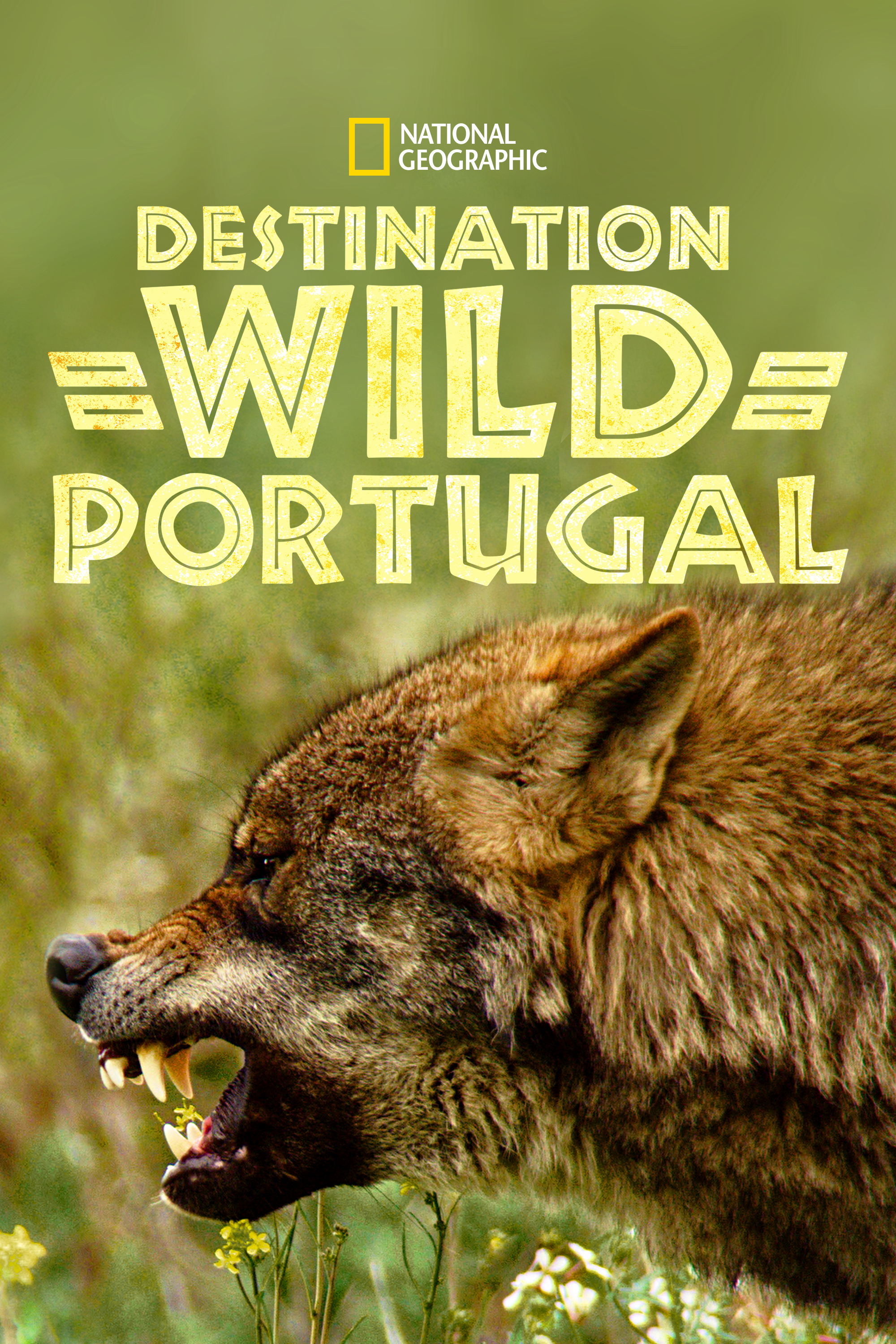 P_WildPortugal_TA_P67_2000x3000_fr-FR_V1_263506.png