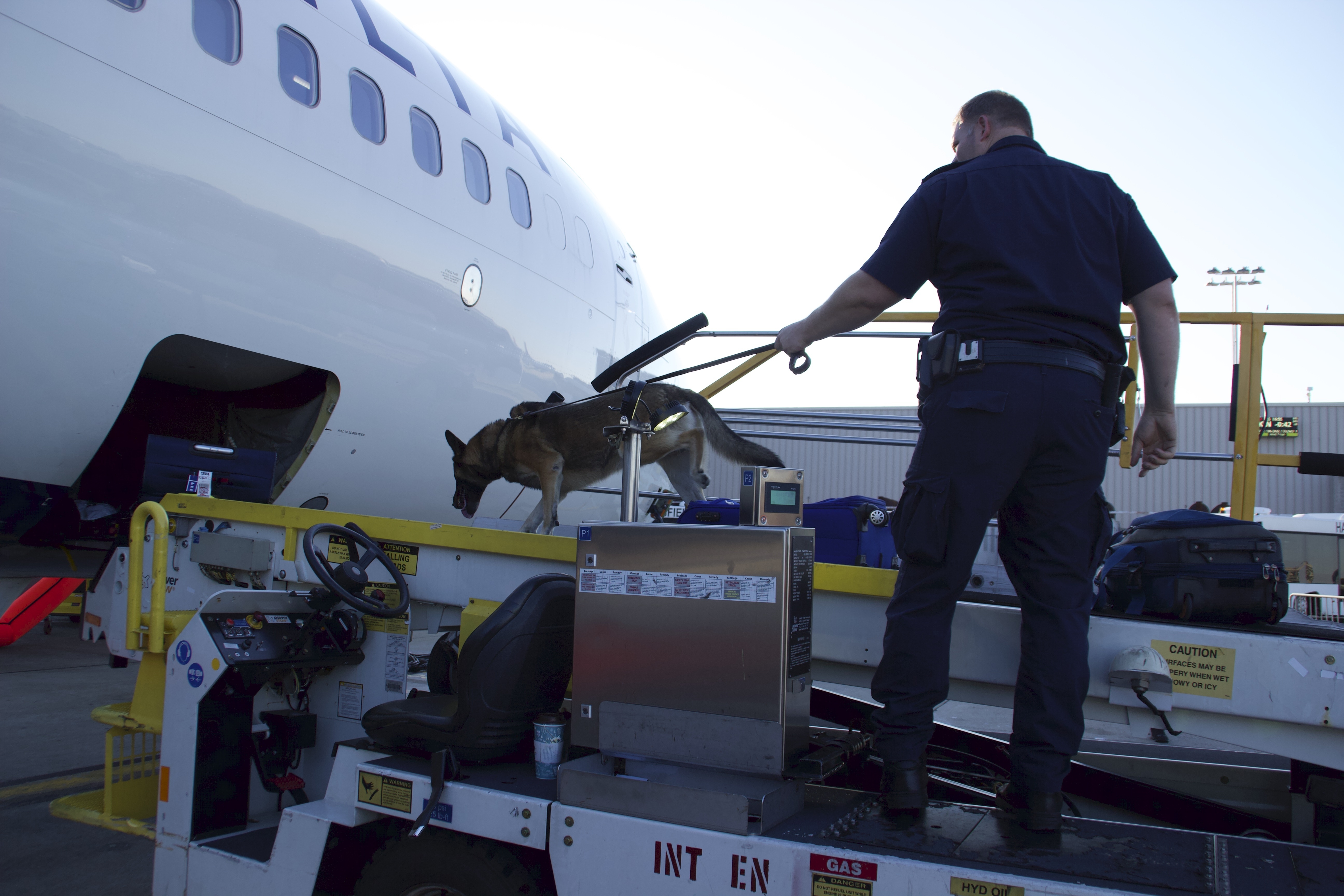 Ultimate airport  USA - Cocaïne, gâteau et billets.jpg