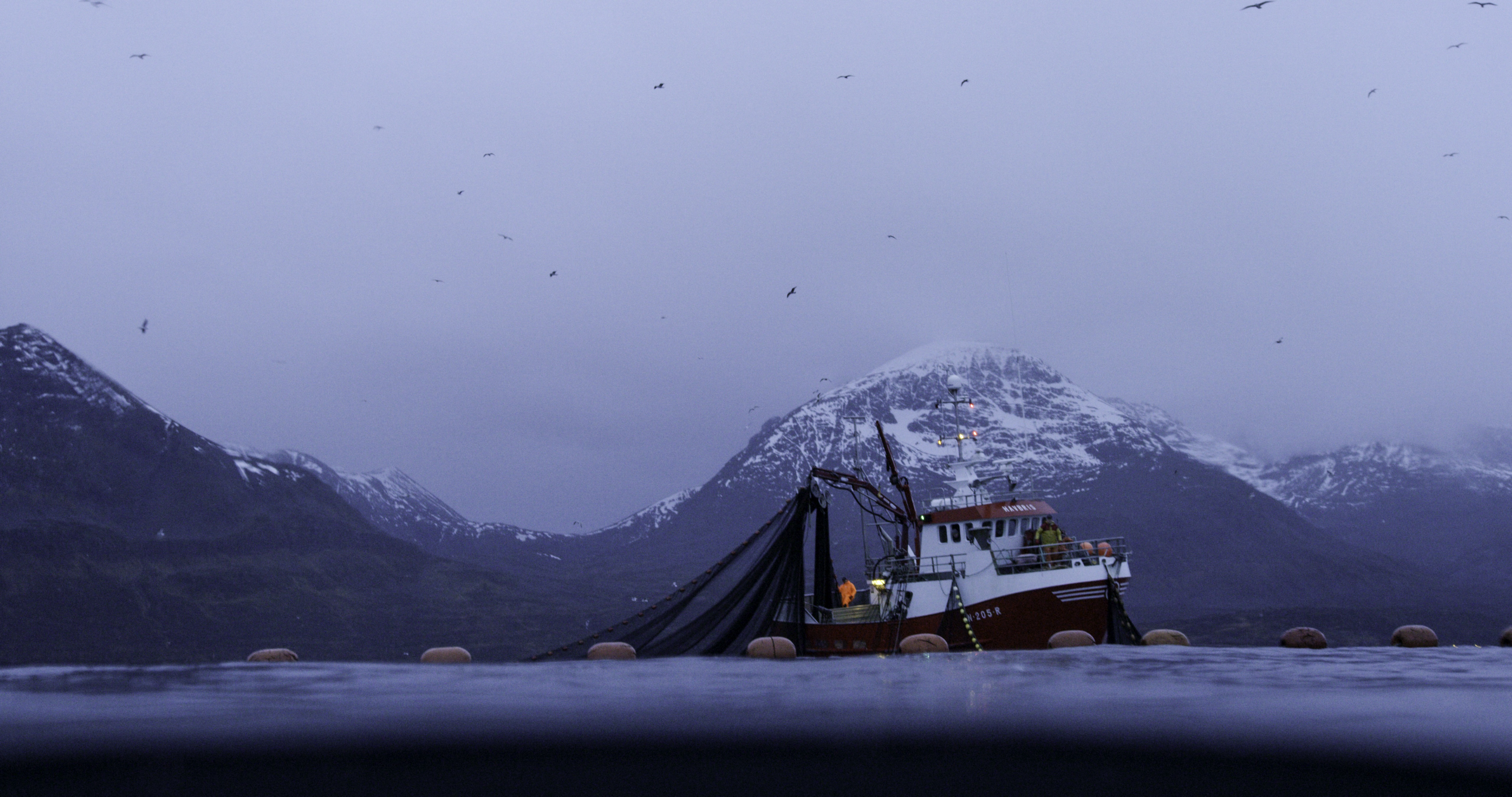 Ep101_SecretsOfTheWhales_011.jpg
