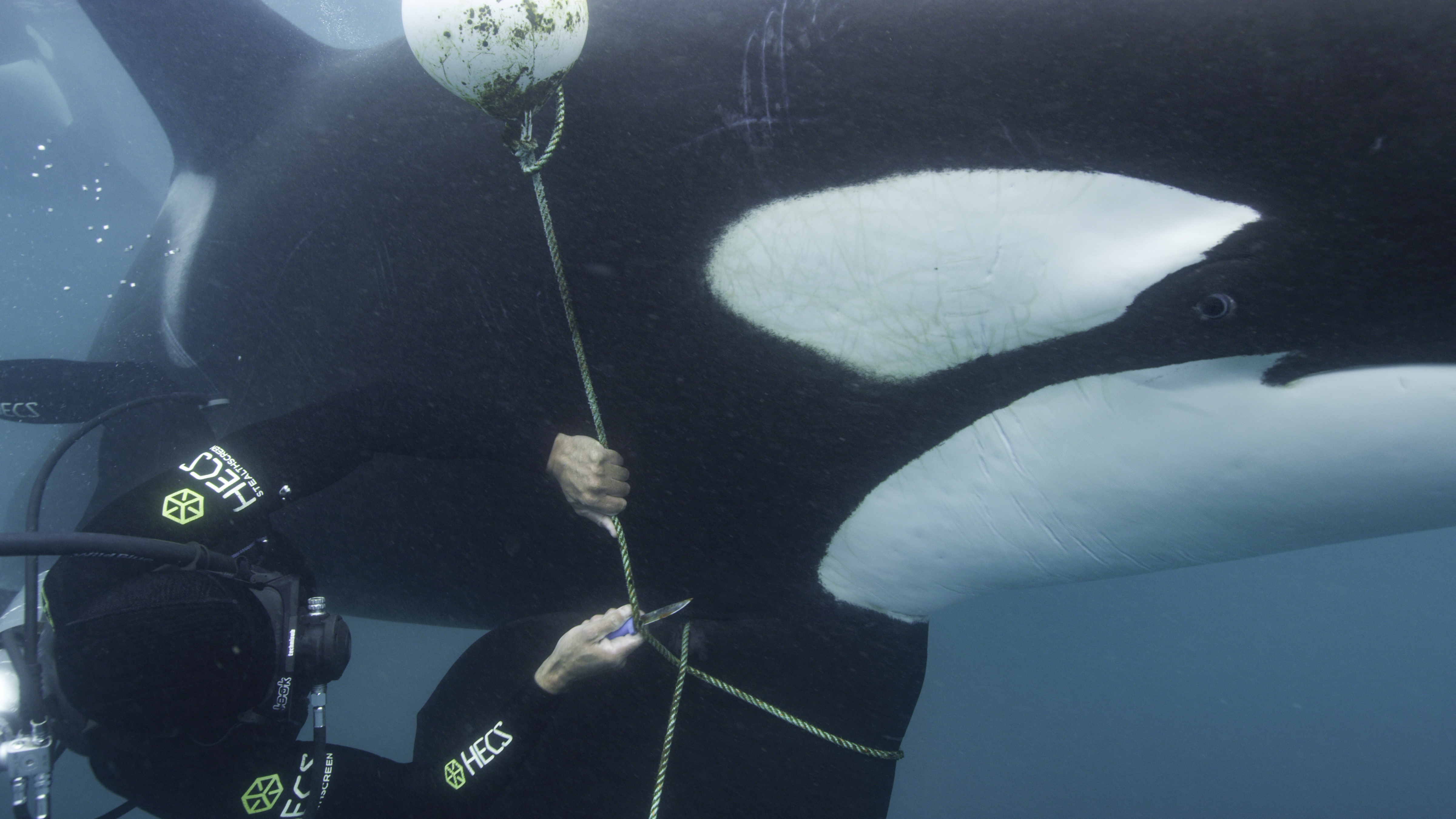 Ep101_SecretsOfTheWhales_017.jpg