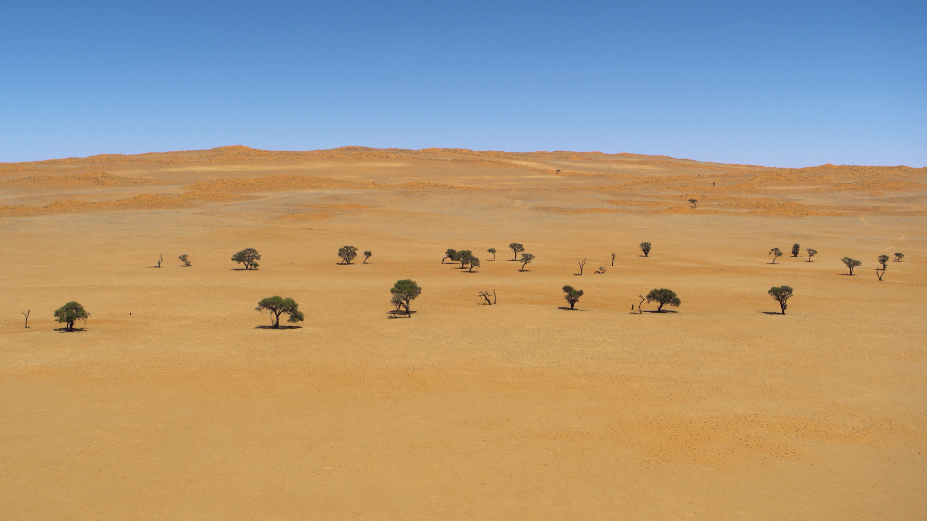 Ep104_DesertSolitude_EarthMoods_55.jpg