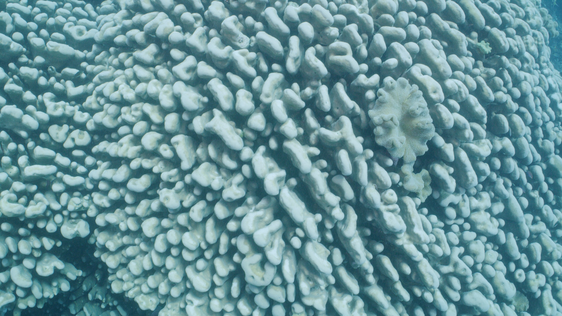 Ep105_PeacefulPatterns_EarthMoods_38.jpg