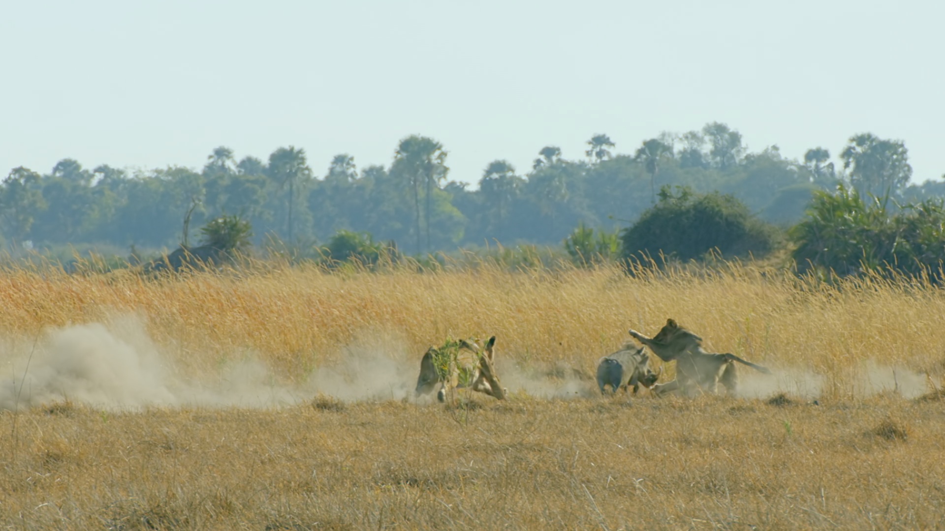Ep406_TheCrown_SavageKingdom_LR_37.JPG