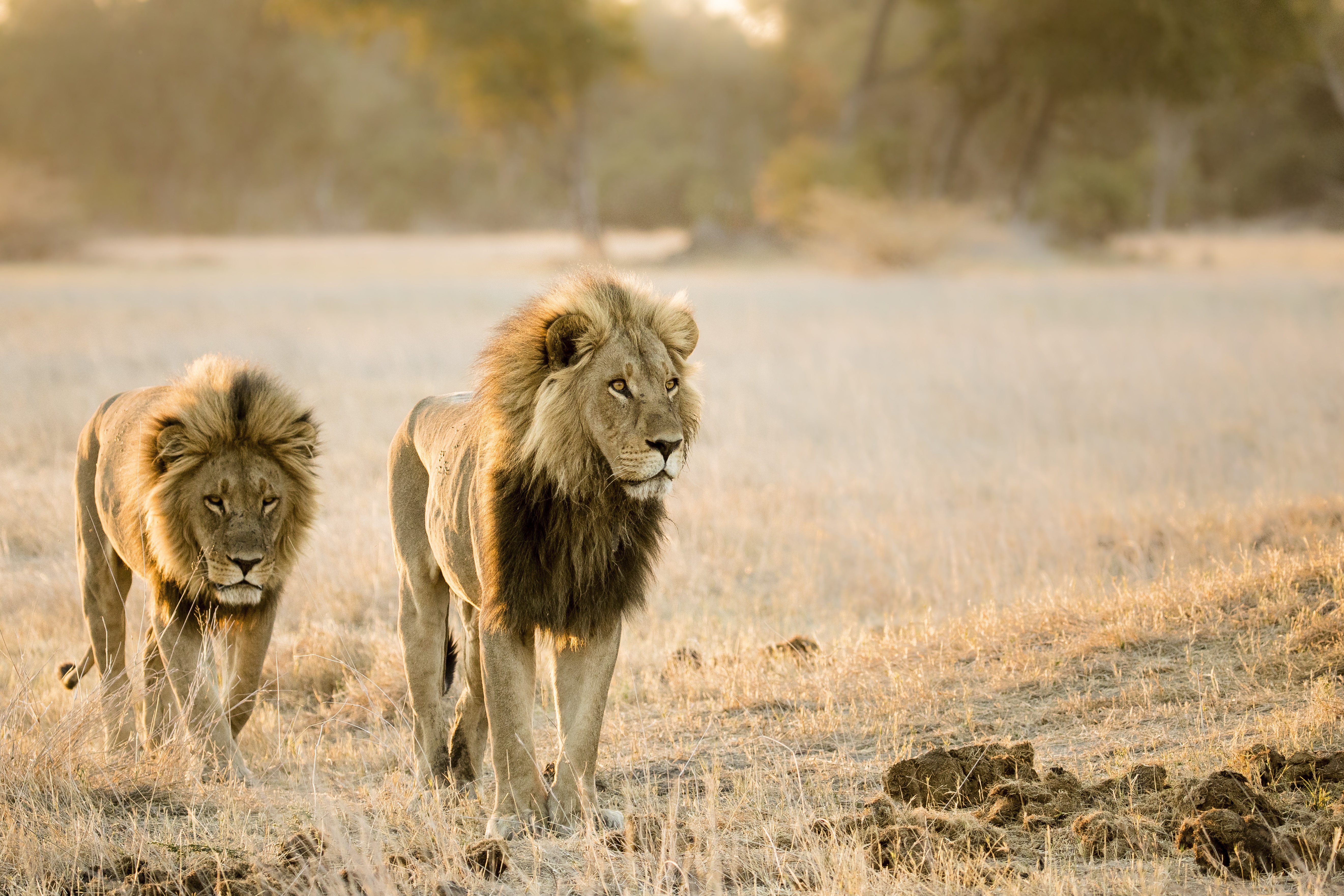 AMothersSacrifice_ep401_SavageKingdom_17.jpg