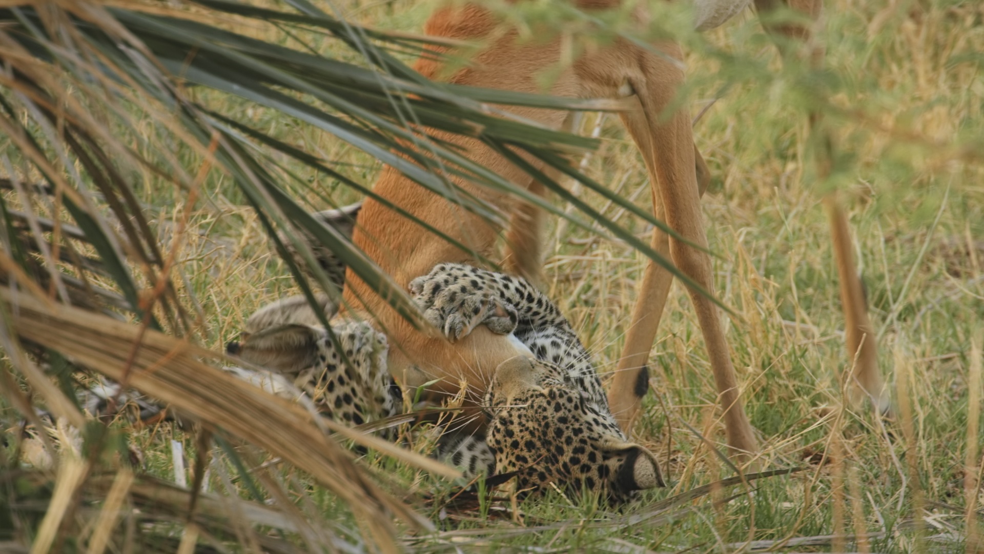 Ep401_SavageKingdom_LR_30.JPG