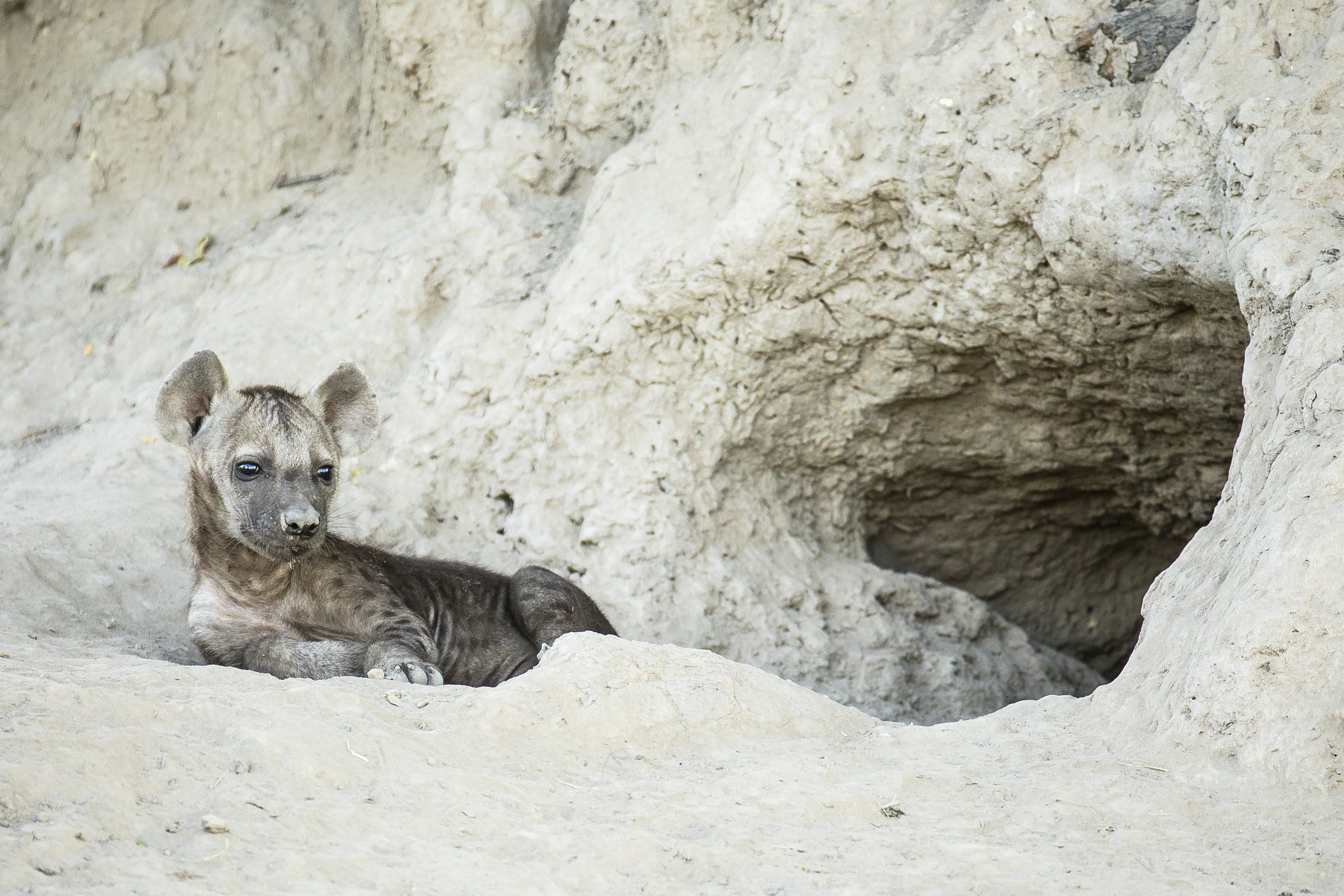 Ep402_SavageKingdom_04.jpg