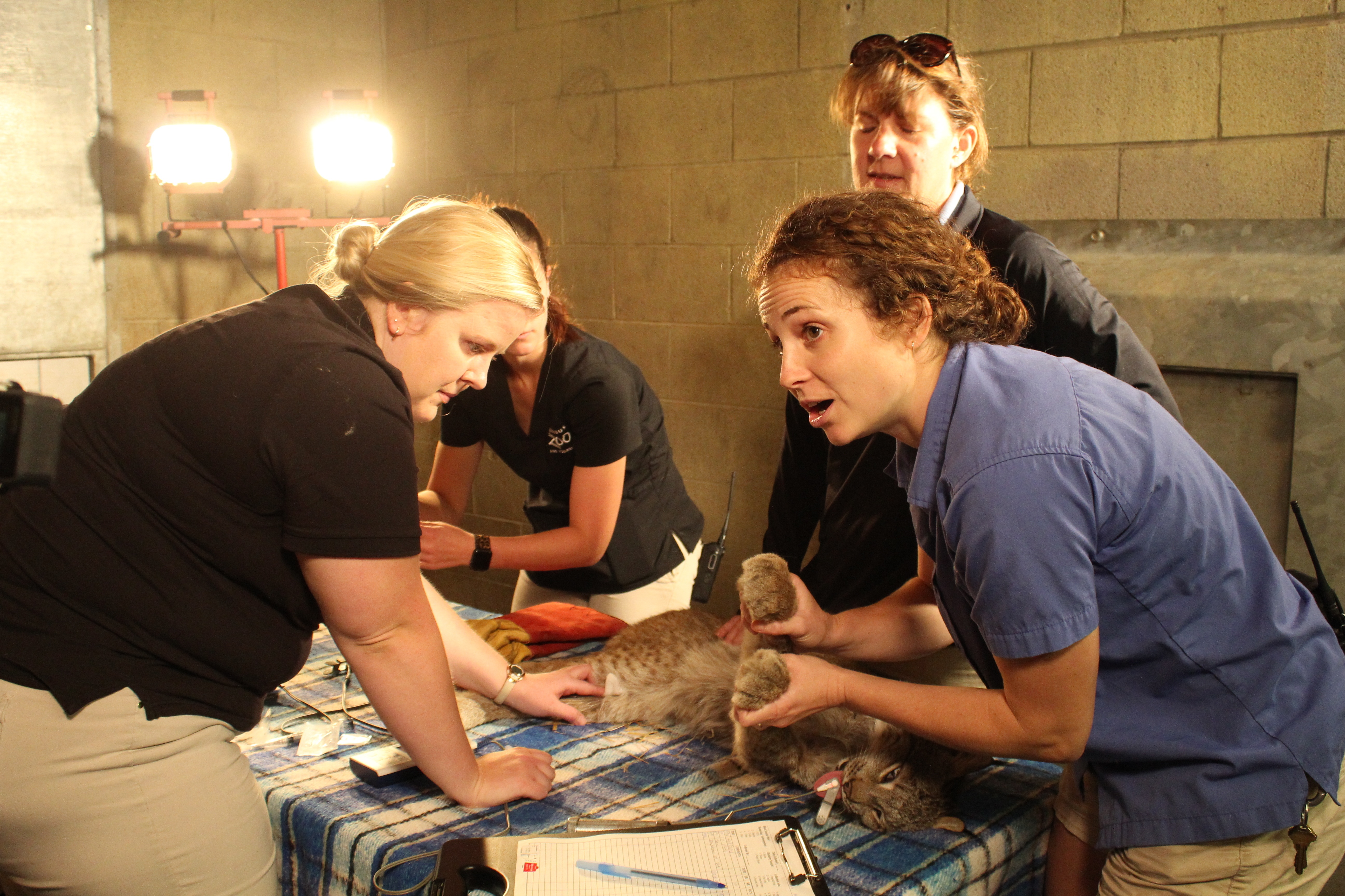 Ep307_SecretsOfTheZoo_04.jpg