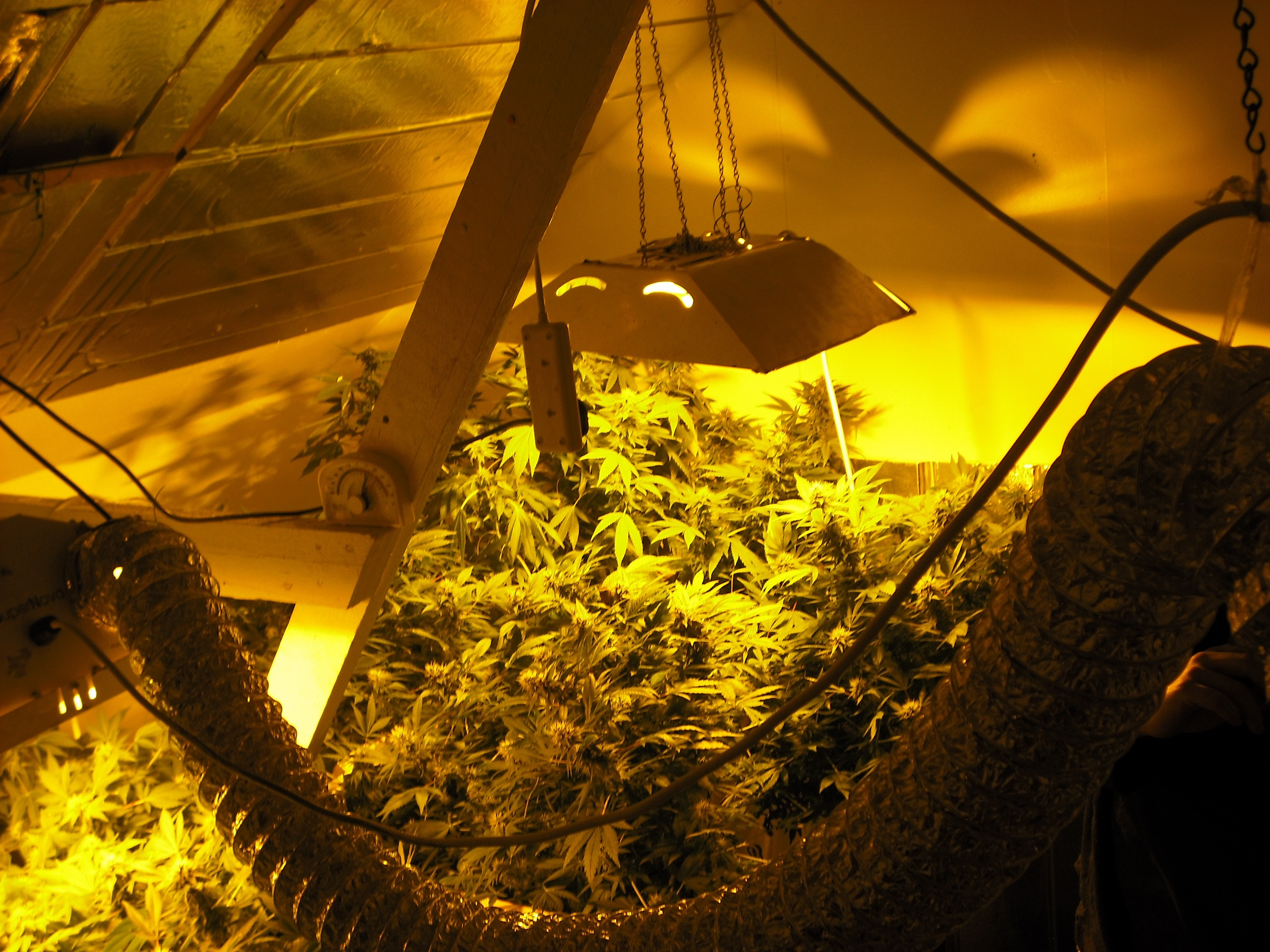 CokeKingsAndQueens_004_DrugsIncIII.jpg
