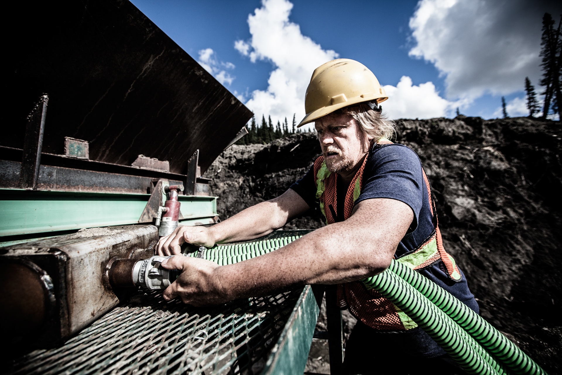 Yukon Gold 4.jpg