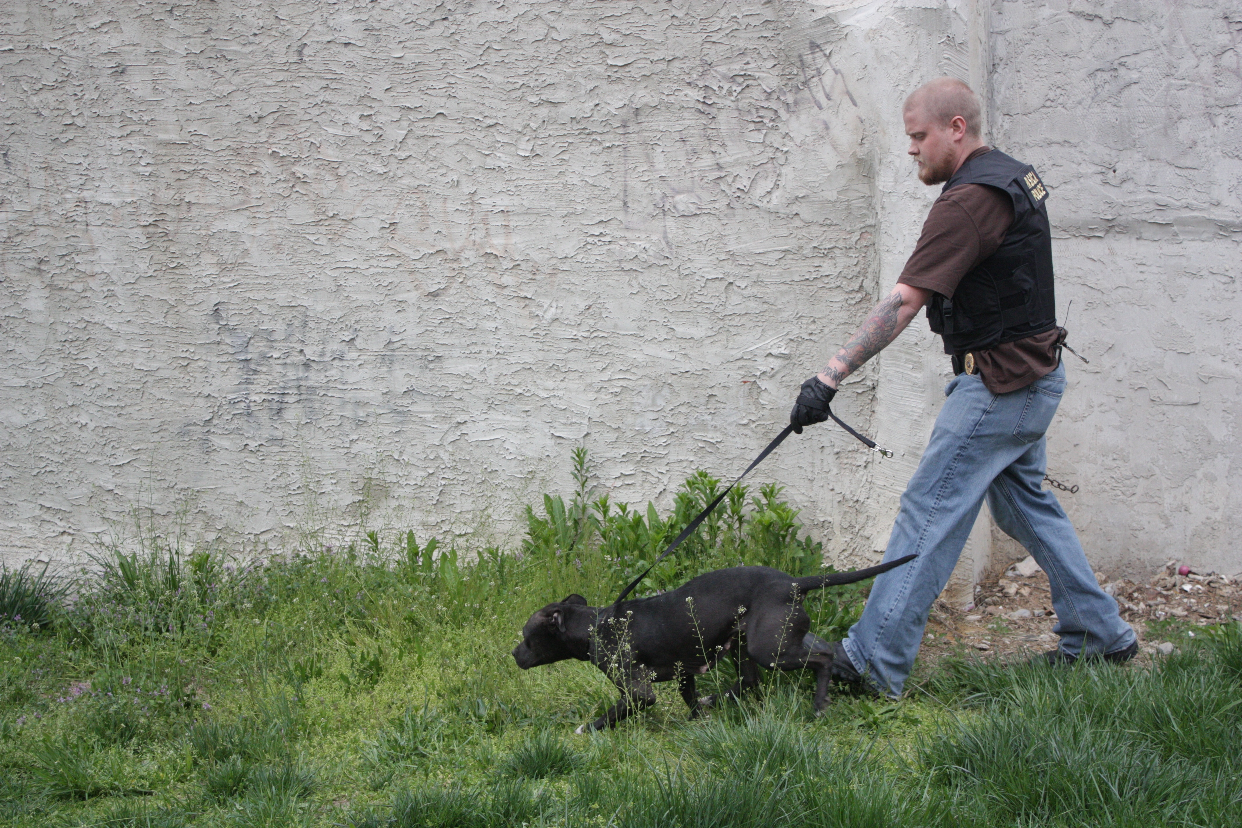 ChasingTheTopDog_19_PhillyUndercover.JPG