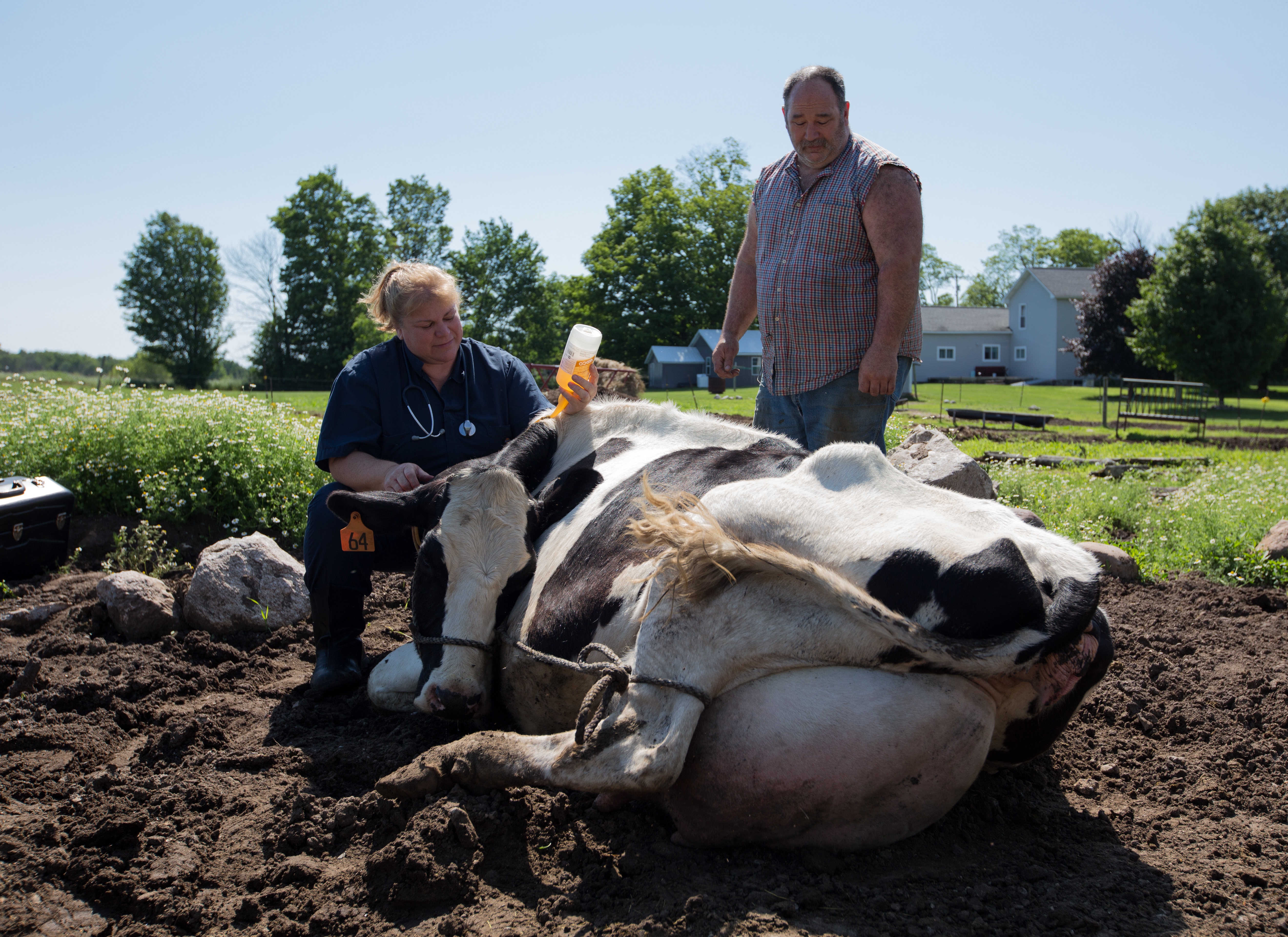 ILoveMoo_IncredibleDrPol_Ep801_03.jpg