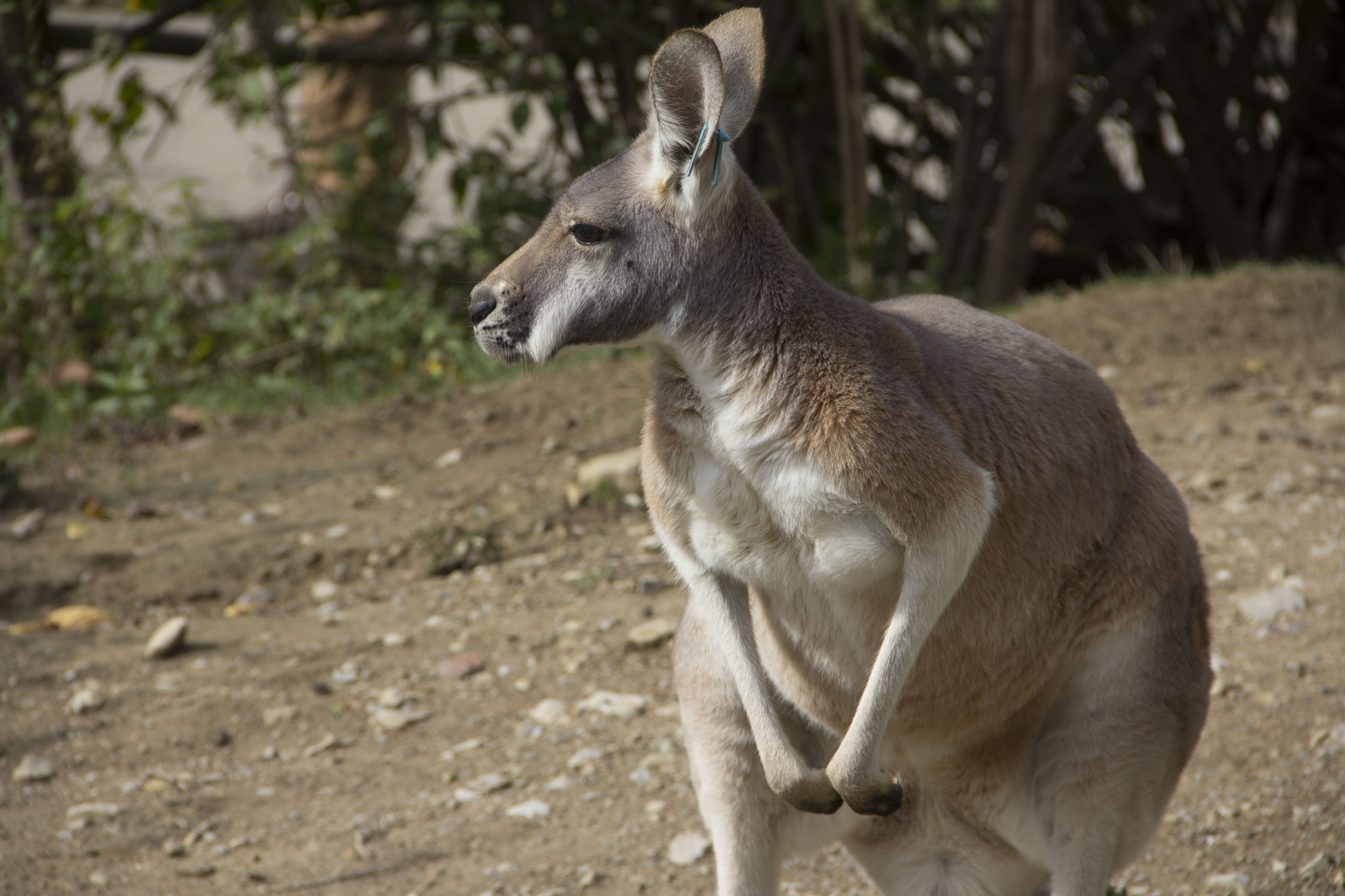 United Vets of America 8.jpg
