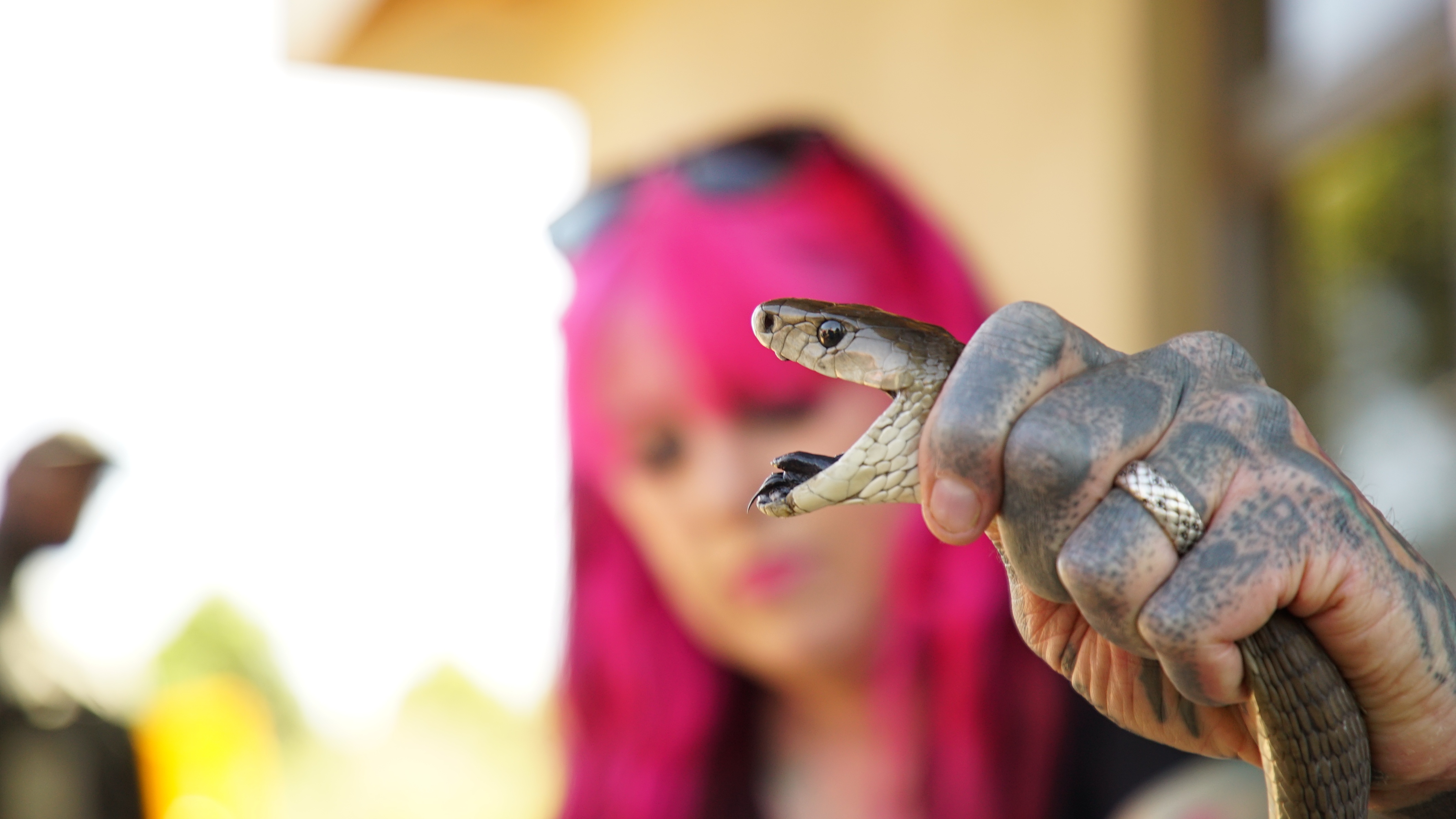 702_SnakesInTheCity_004.jpg