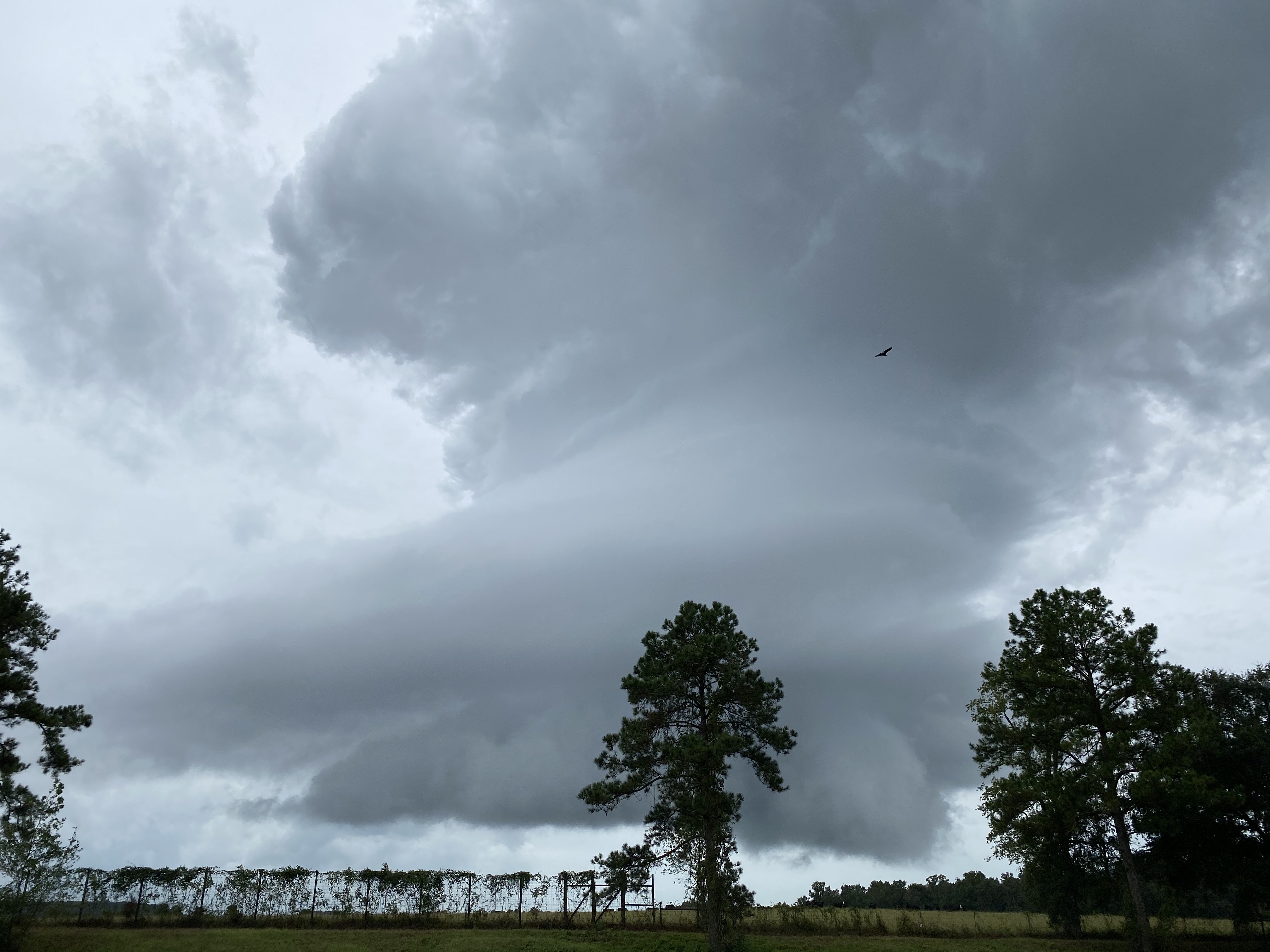 A la poursuite des Tornades  (1).jpeg