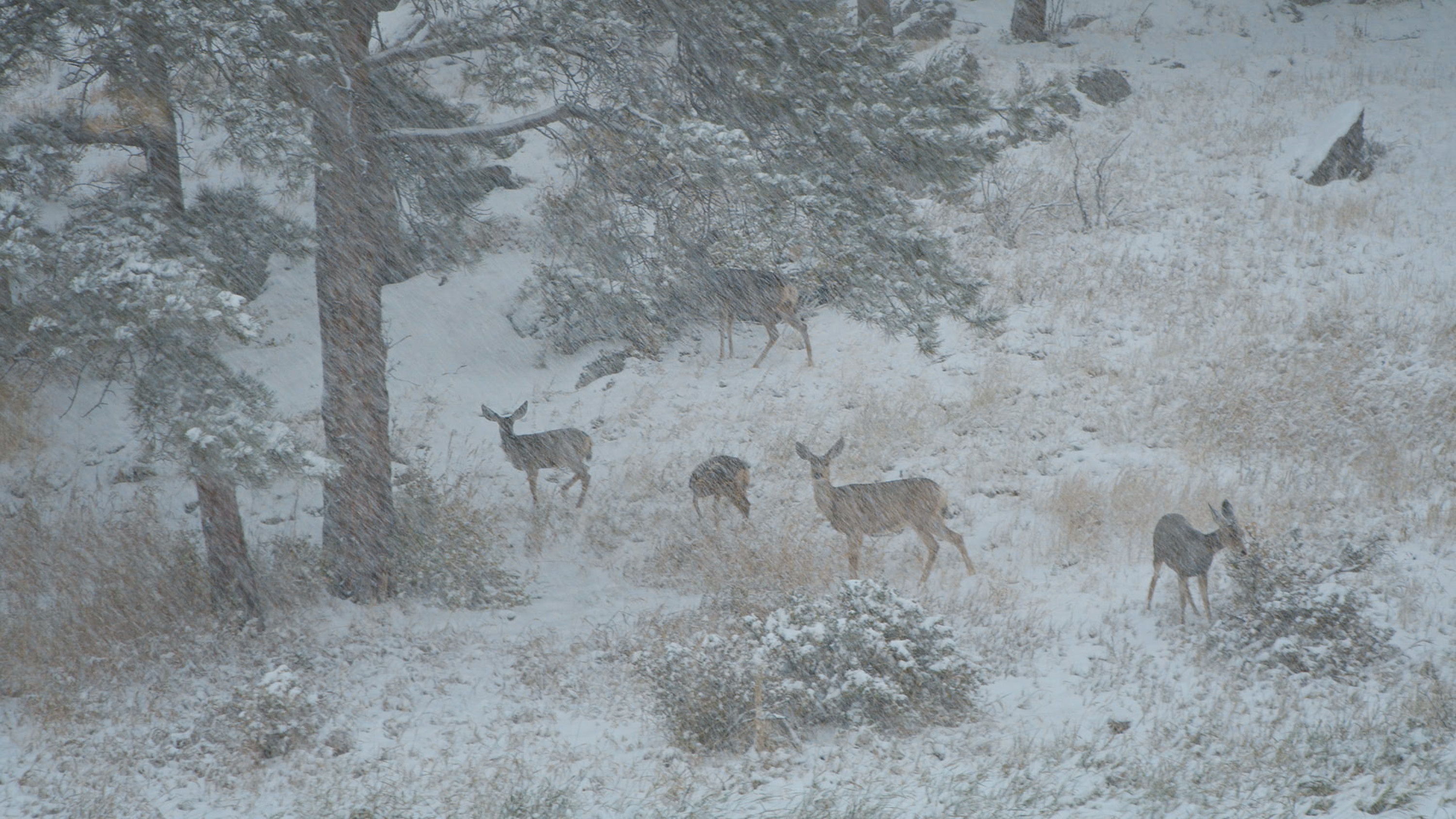 A la poursuite des Tornades  (17).jpg