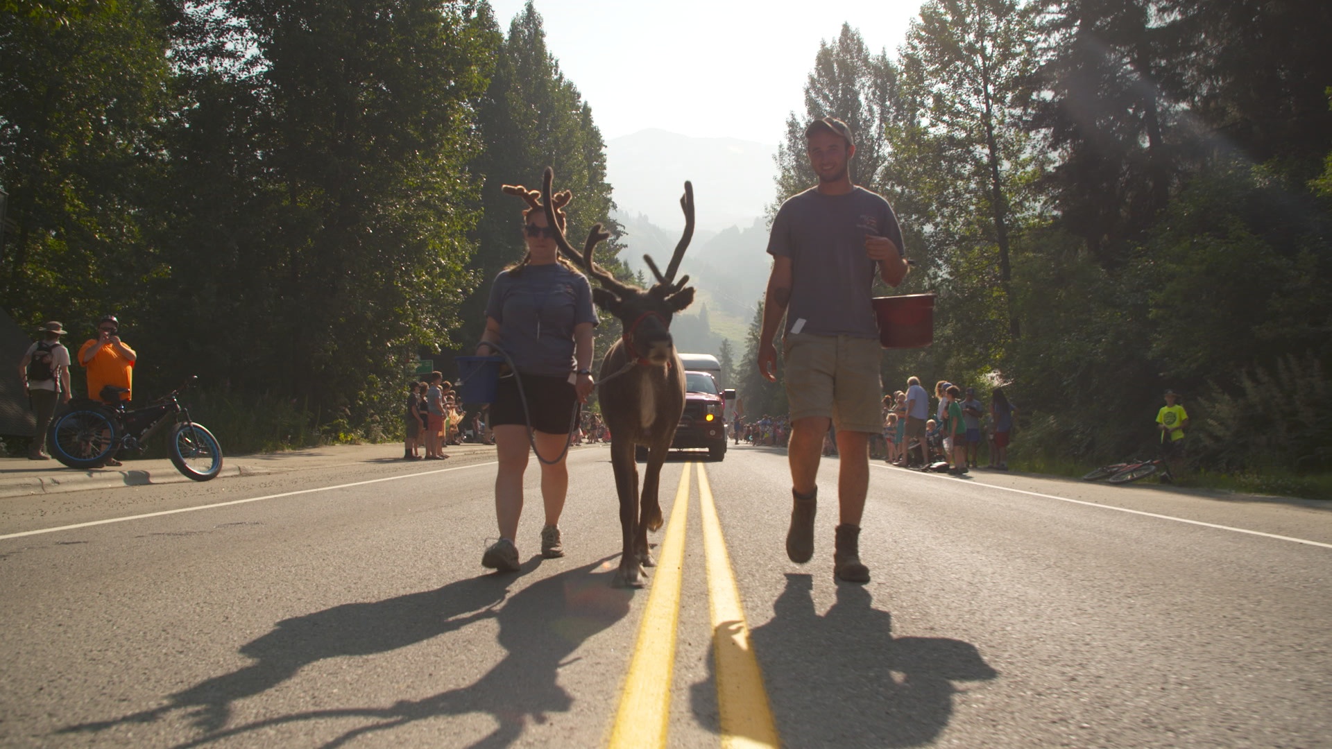 SOS Animaux Alaska  Amis pour la vie 2.jpg