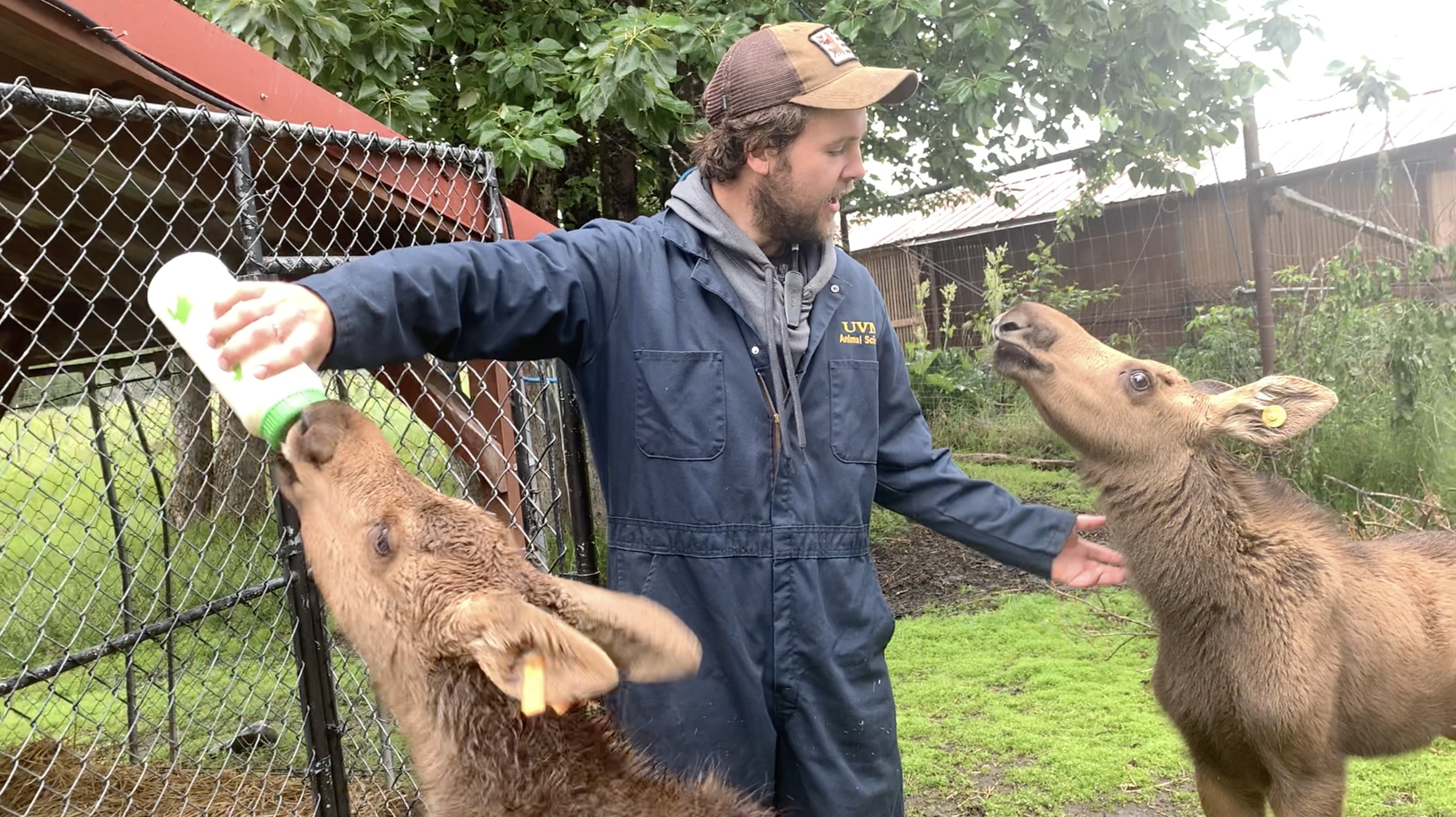 Alaska Animal Rescue 2.jpg