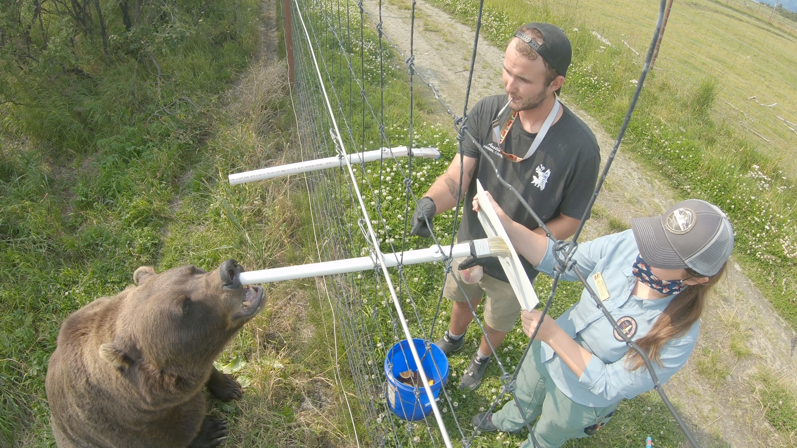 Alaska animal Resue - Bearwitchproject 2.JPG