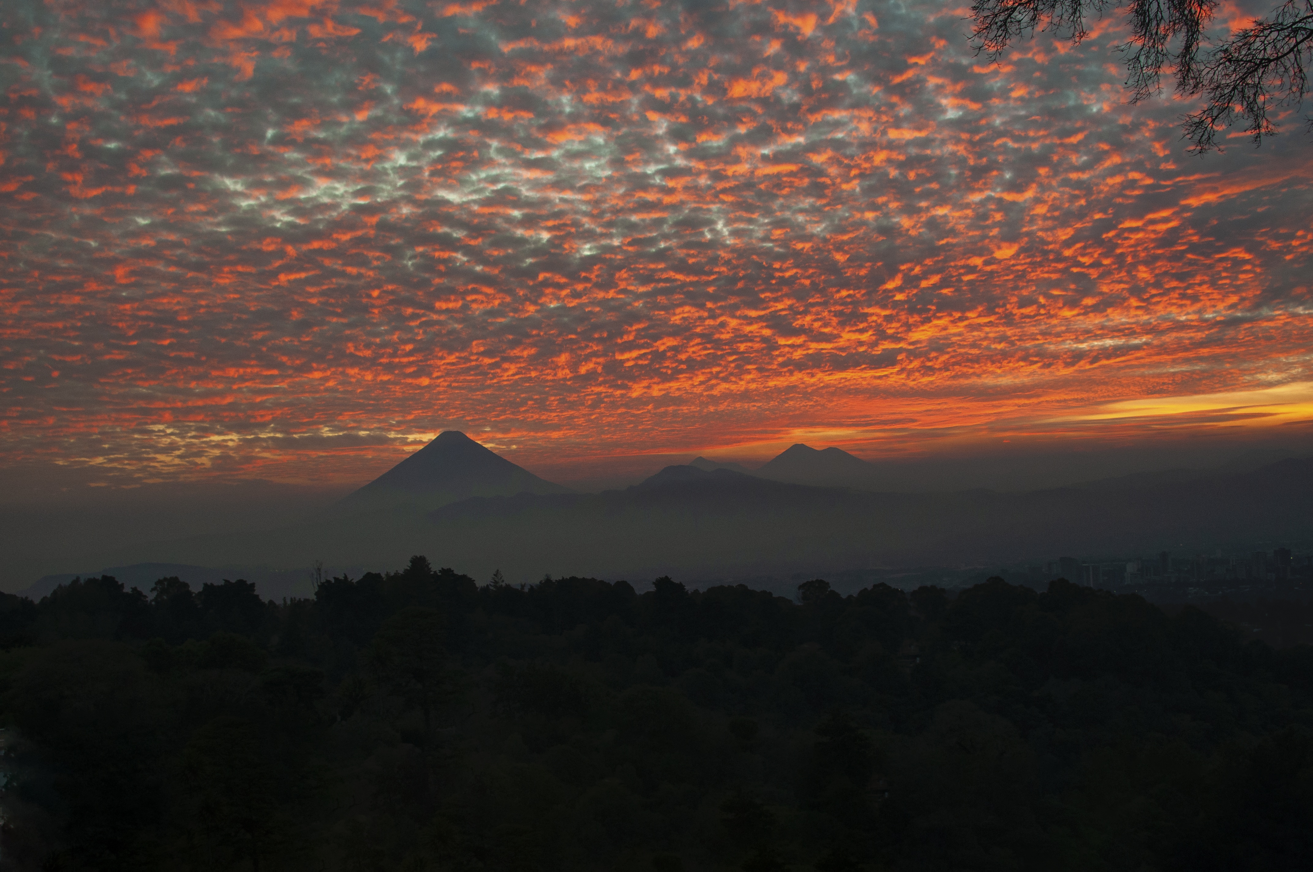 Wild Central America 3.JPG