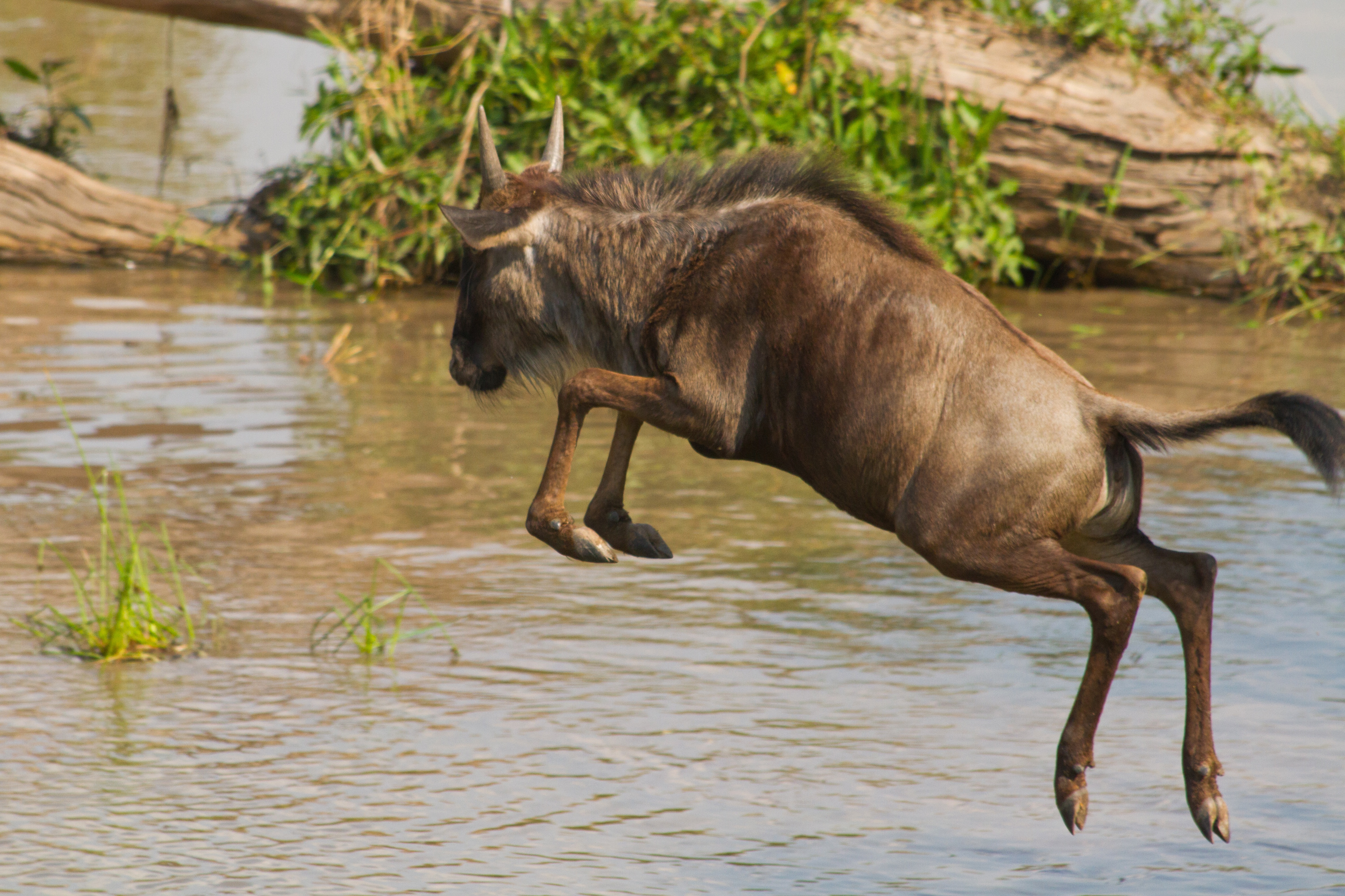 Ep1_003_Africas Blood River.JPG