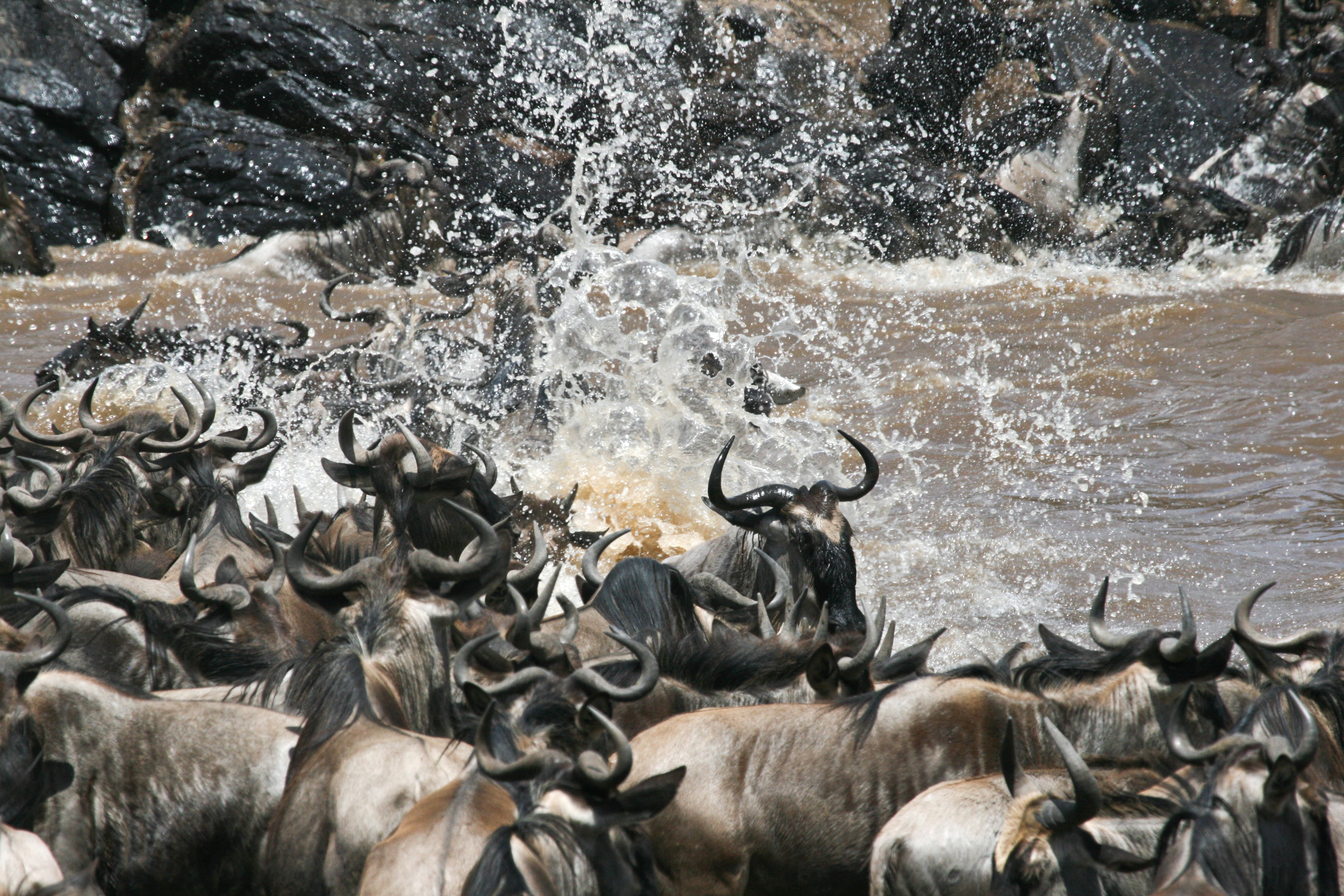 Ep1_006_Africas Blood River.JPG