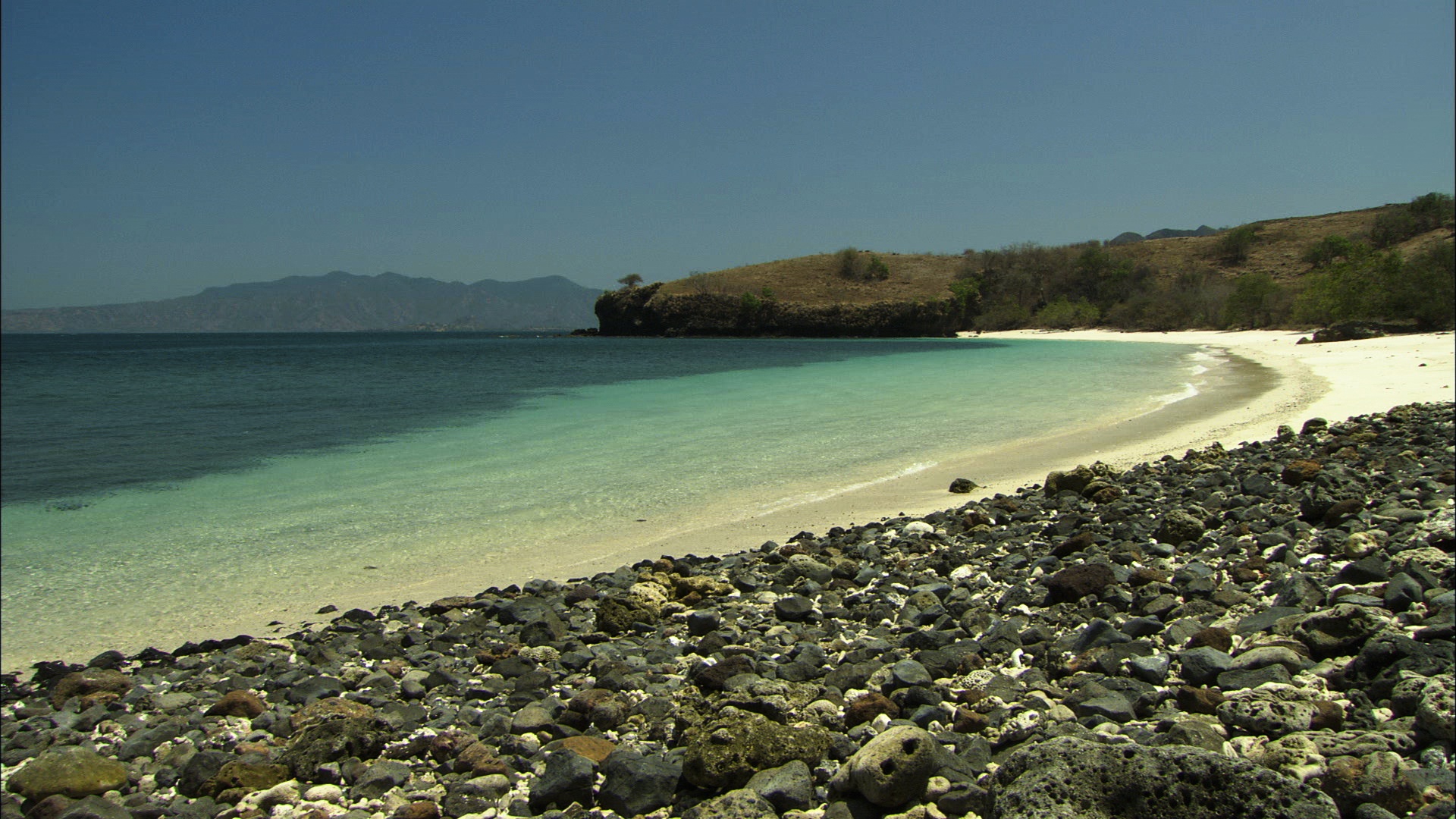 L'île au venin 1.JPG