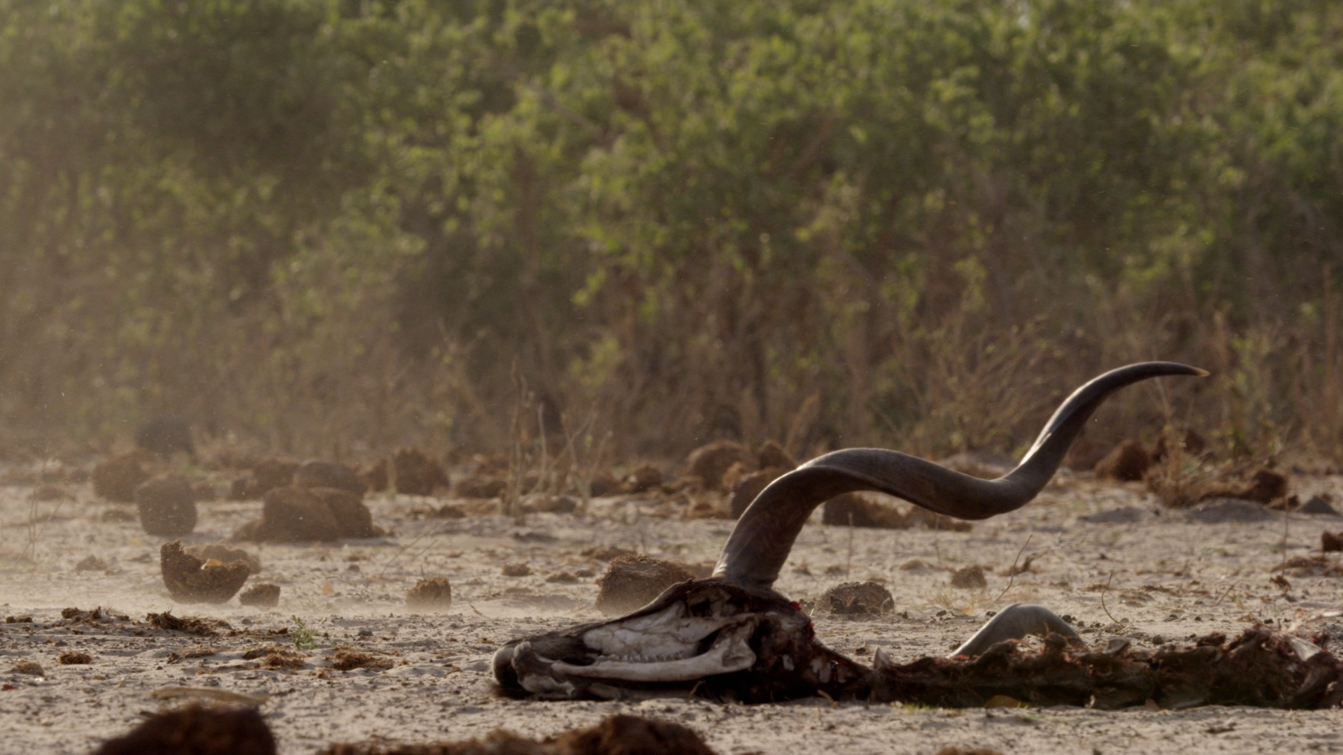 Botswana 4.jpg