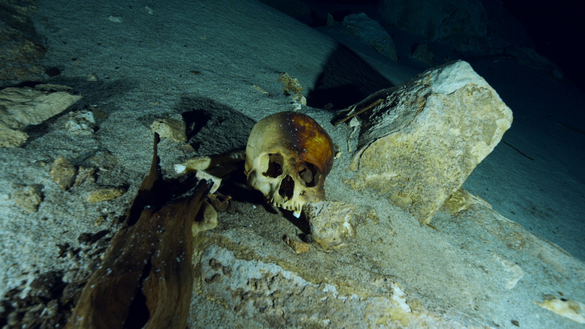 Les tresors perdus des mayas 3.jpg