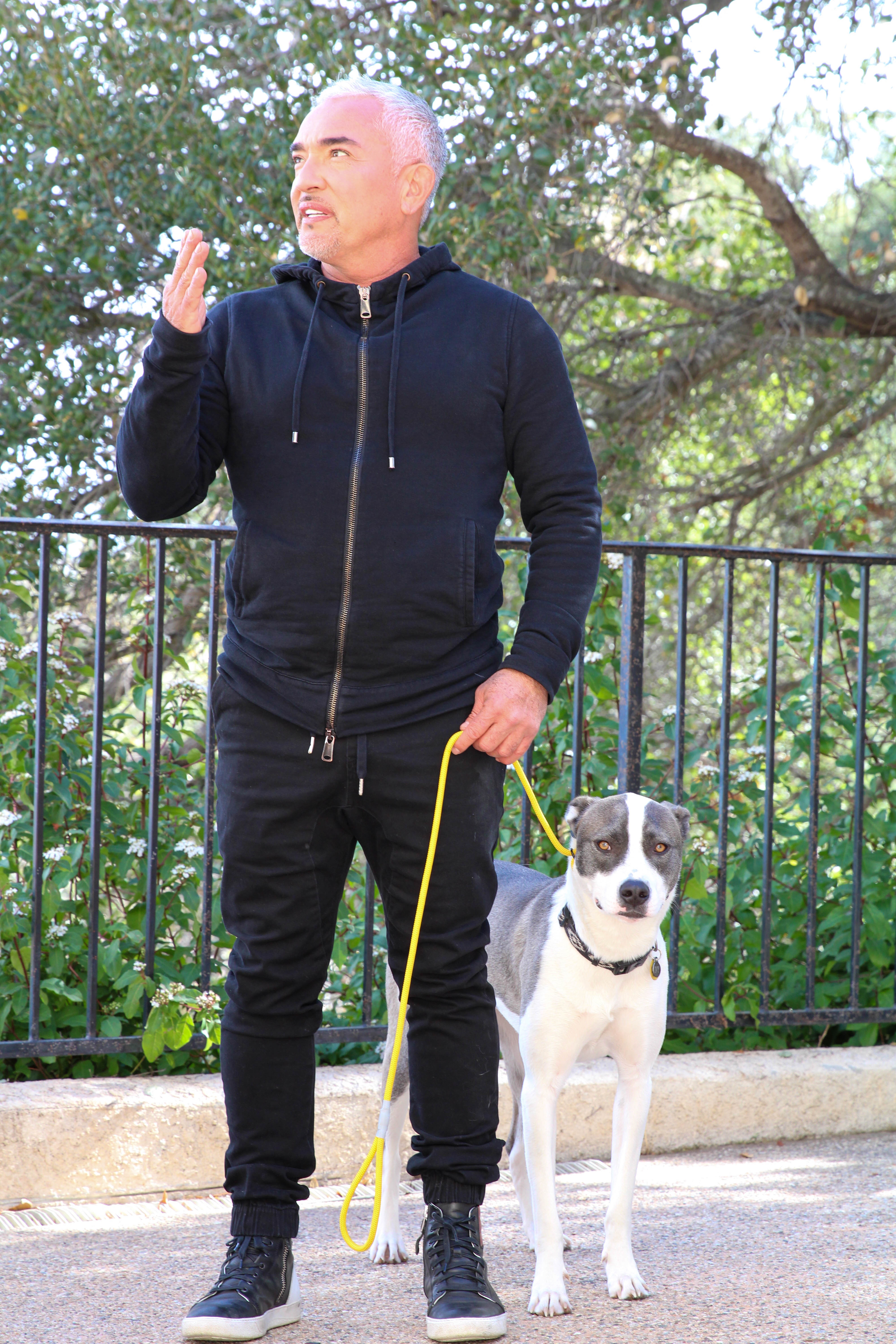 Cesar Millan - Better human better dog 6.jpg