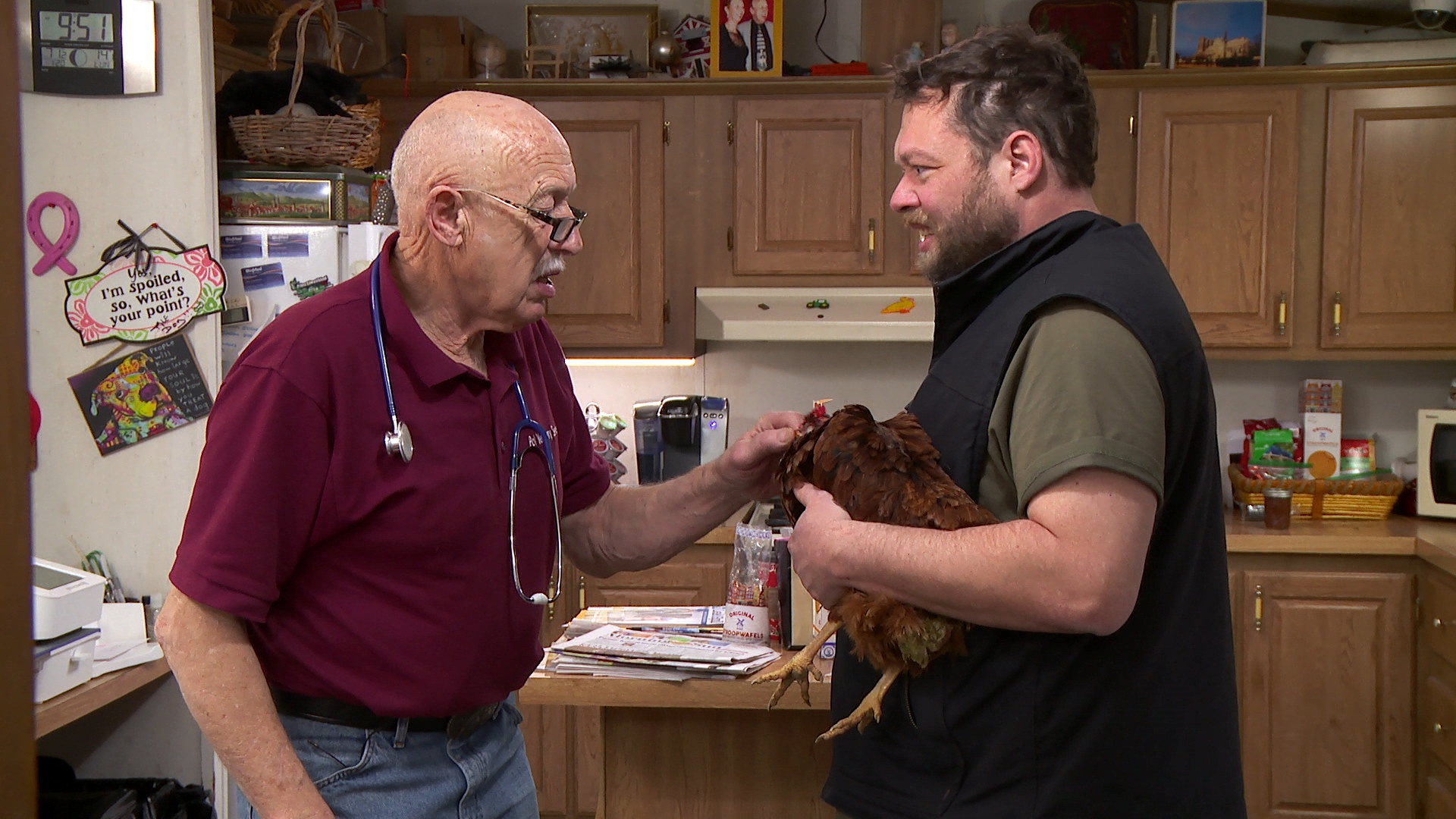 Dr Pol - Baby boom 1.jpg