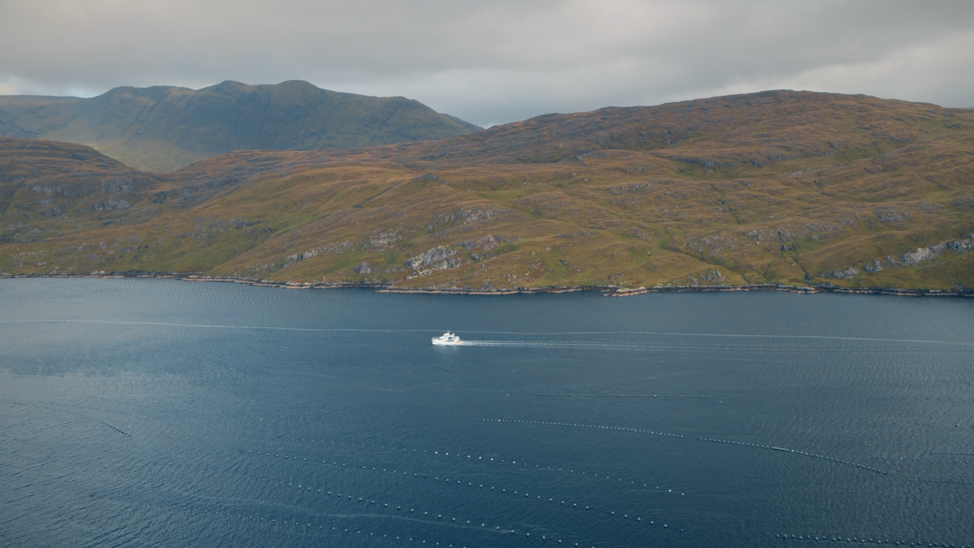 Europe from above - Ireland 5.jpg