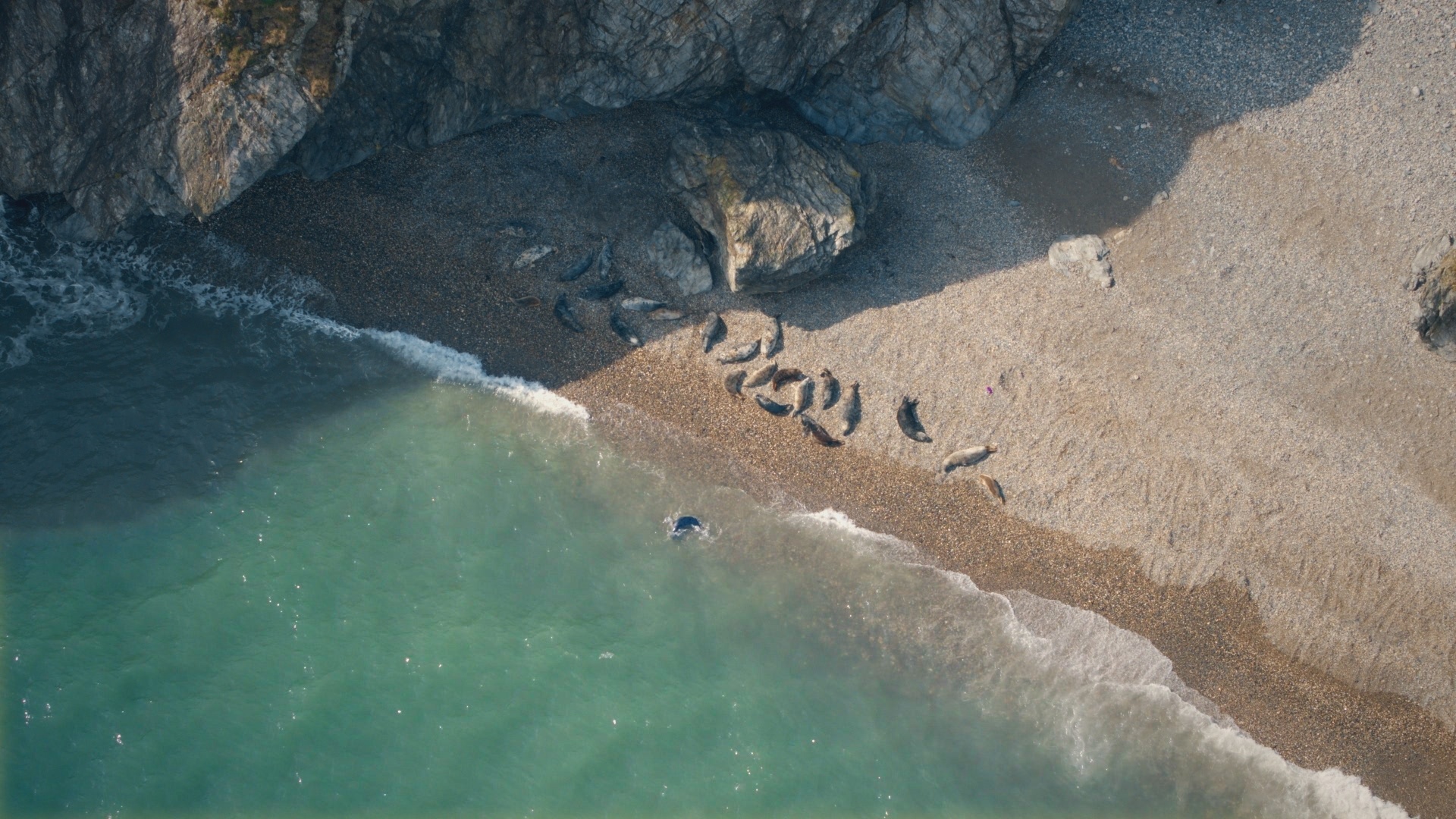 Europe from above - Ireland 8.jpg