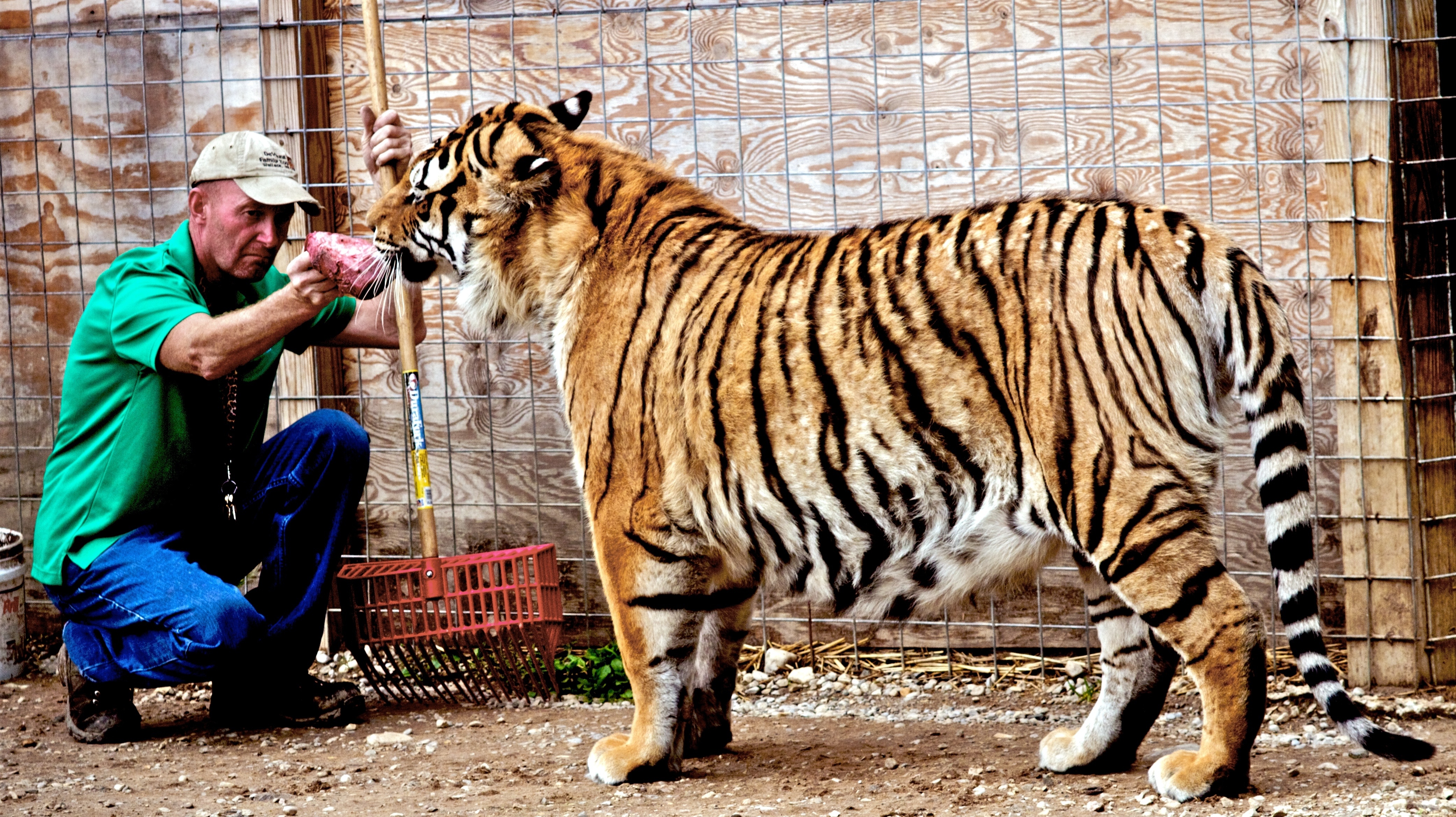 La clinique des animaux exotiques - Un problème épineux 4.JPG