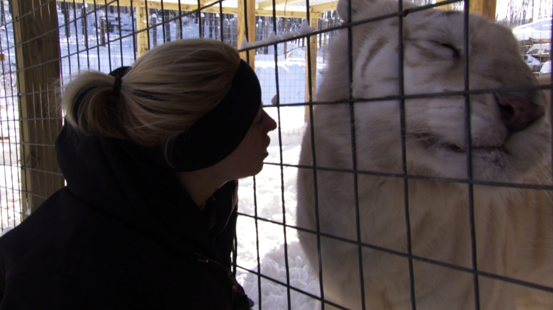 My life is a zoo 1.JPG