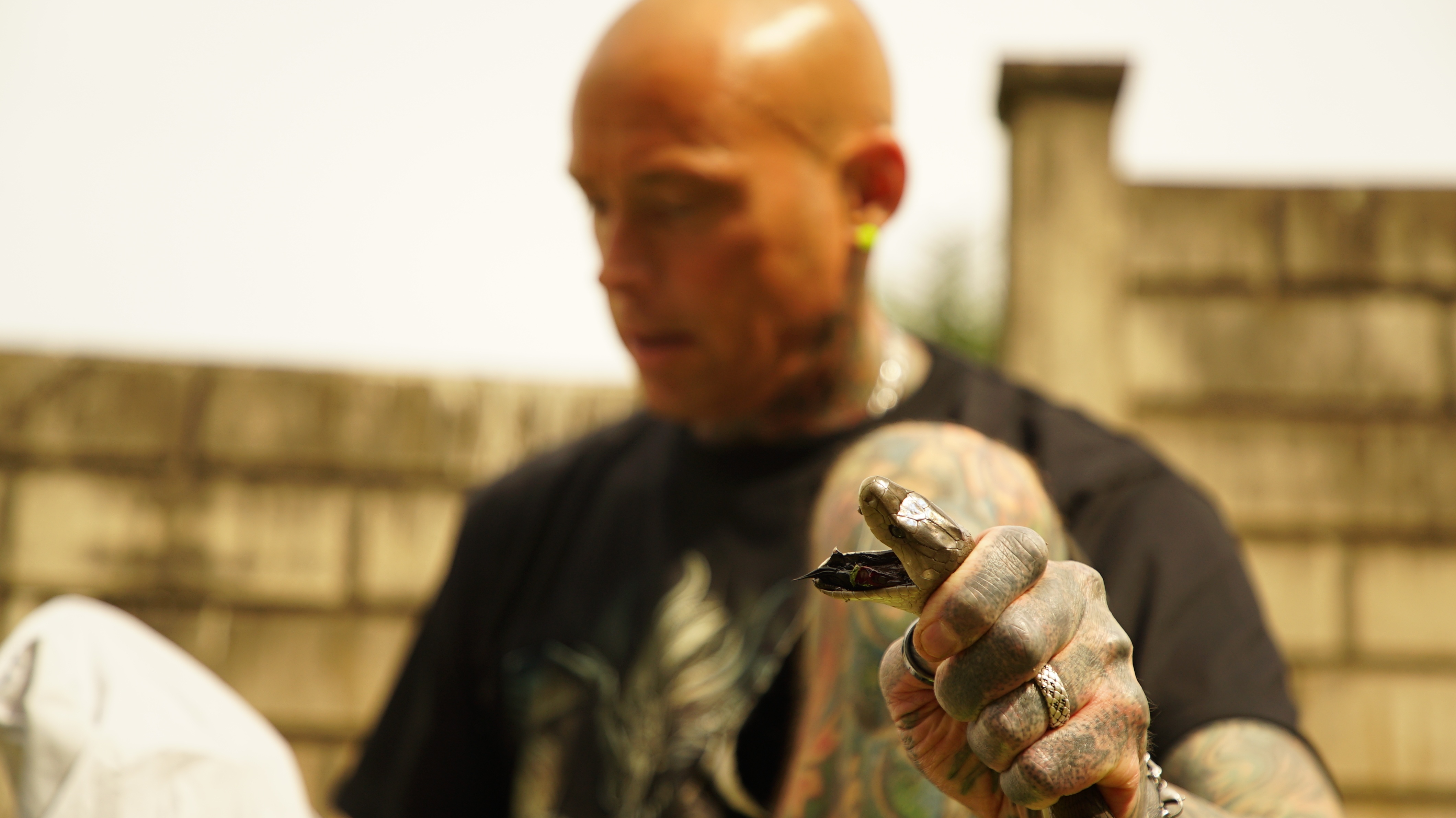Snakes In The City - La fête aux pythons 4.jpg
