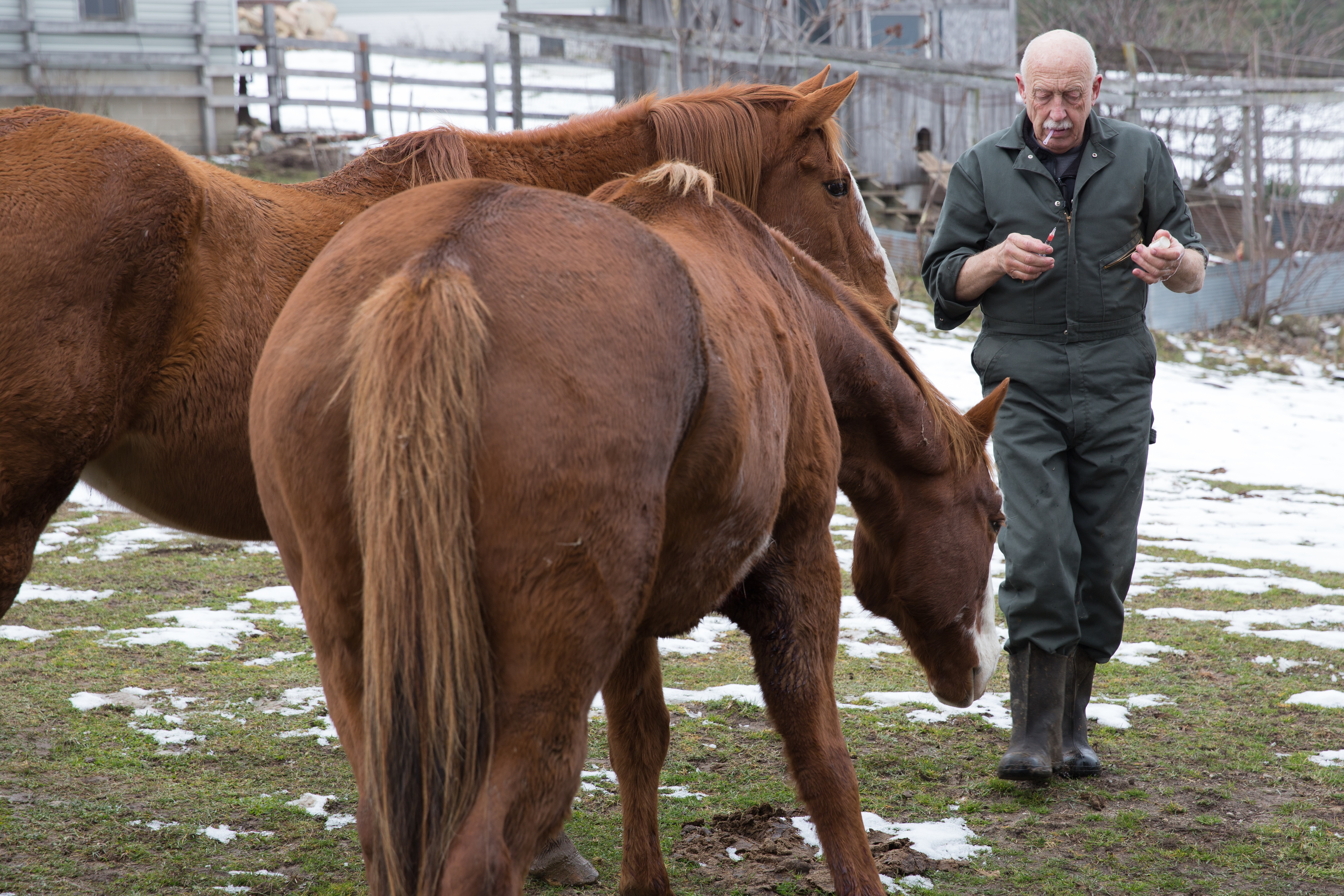 Dr Pol 2.jpg