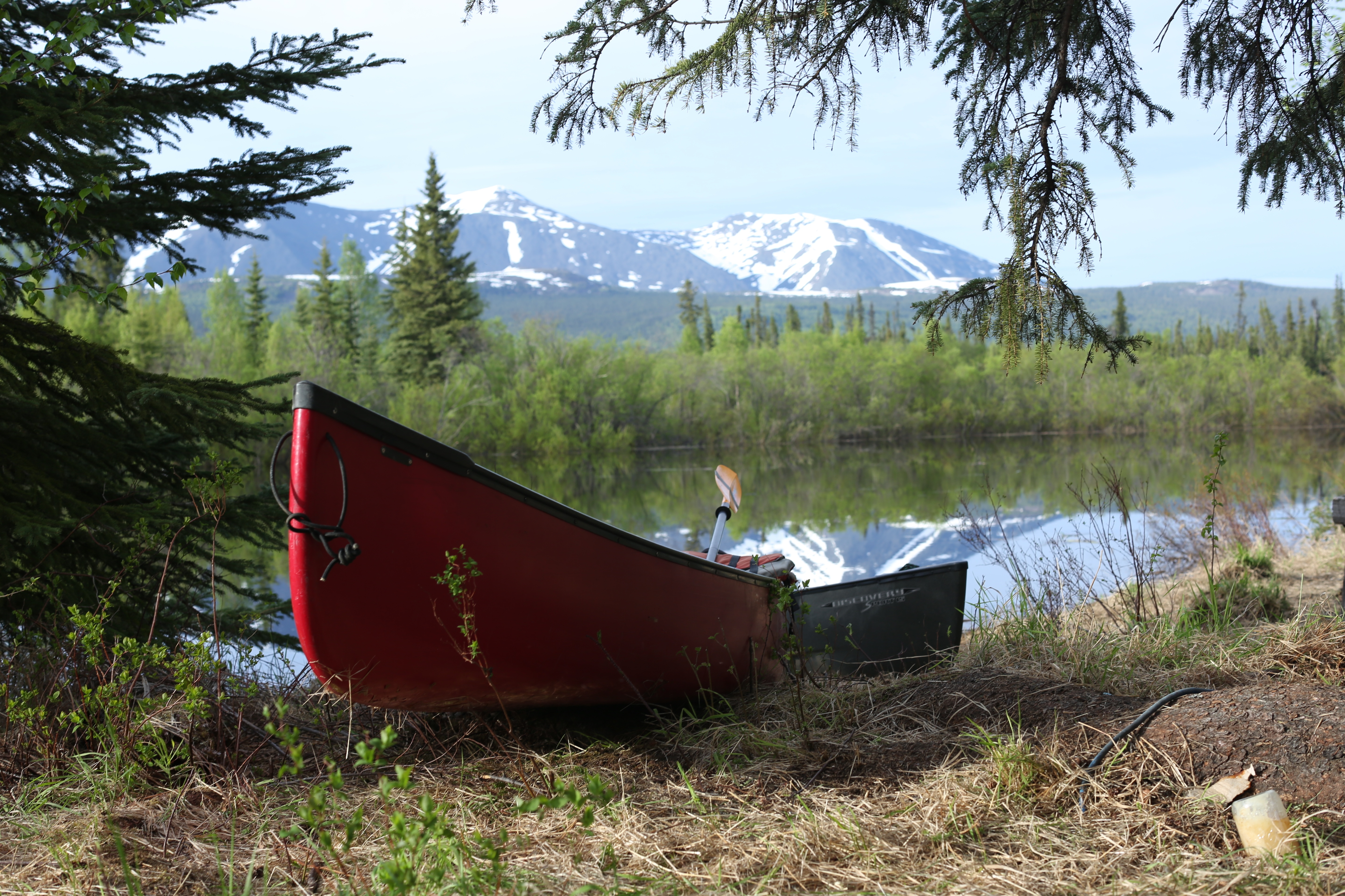 Alaska Nouvelle vie - Dans le sang 5.jpg