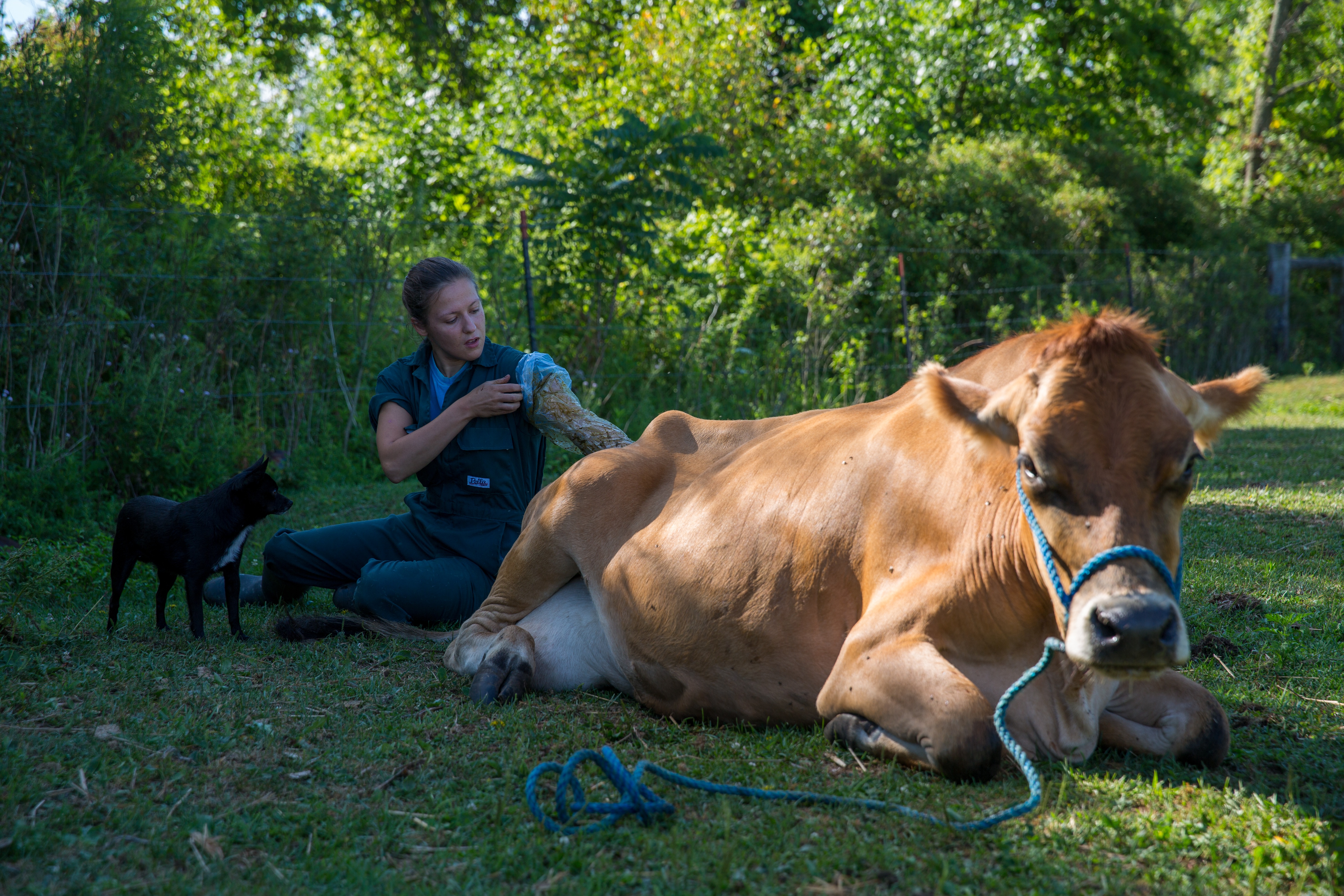 L'incroyable Dr Pol - Accident de chasse 3.jpg
