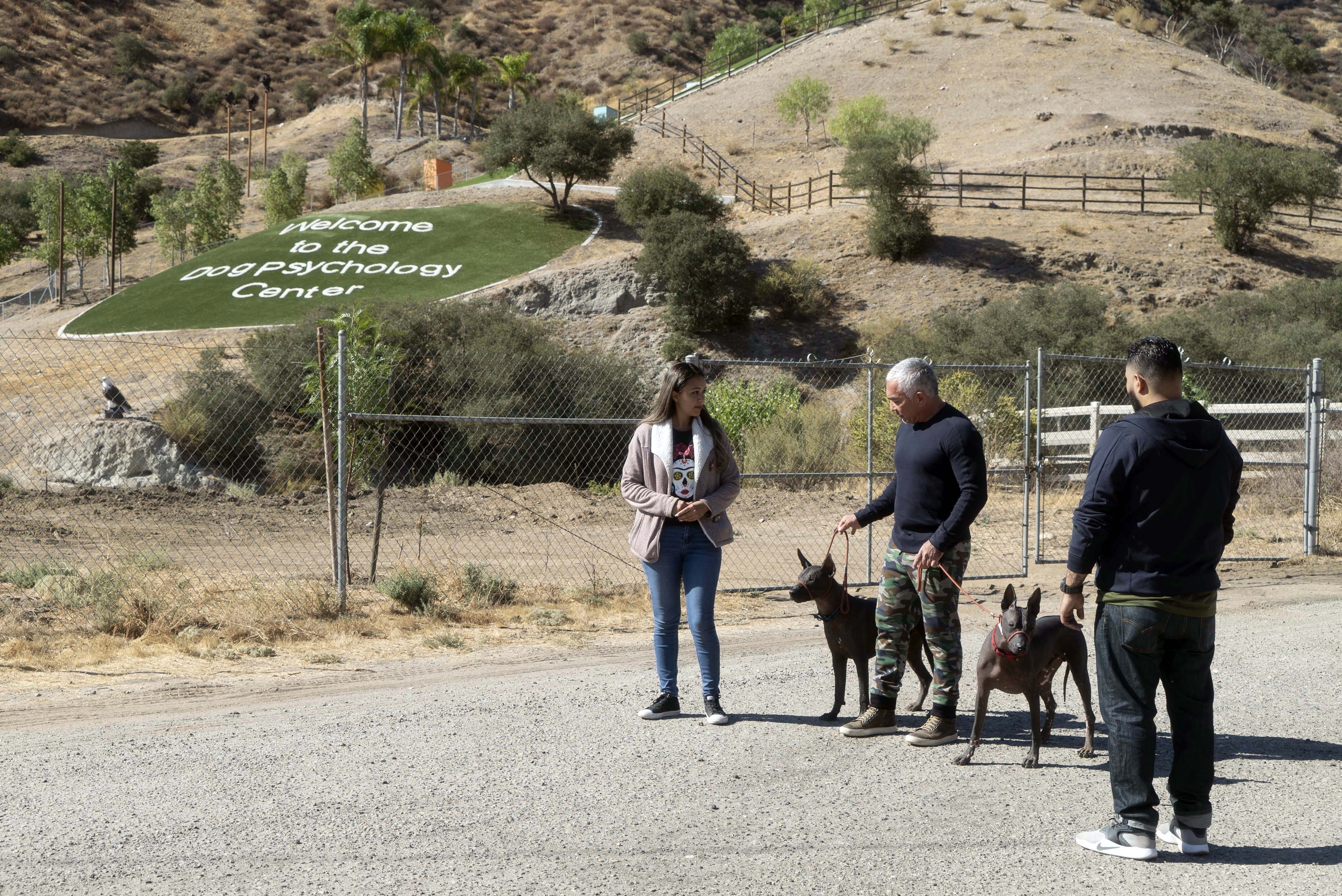 Cesar Millan Tel maître, tel chien - Double jeu 2.jpg