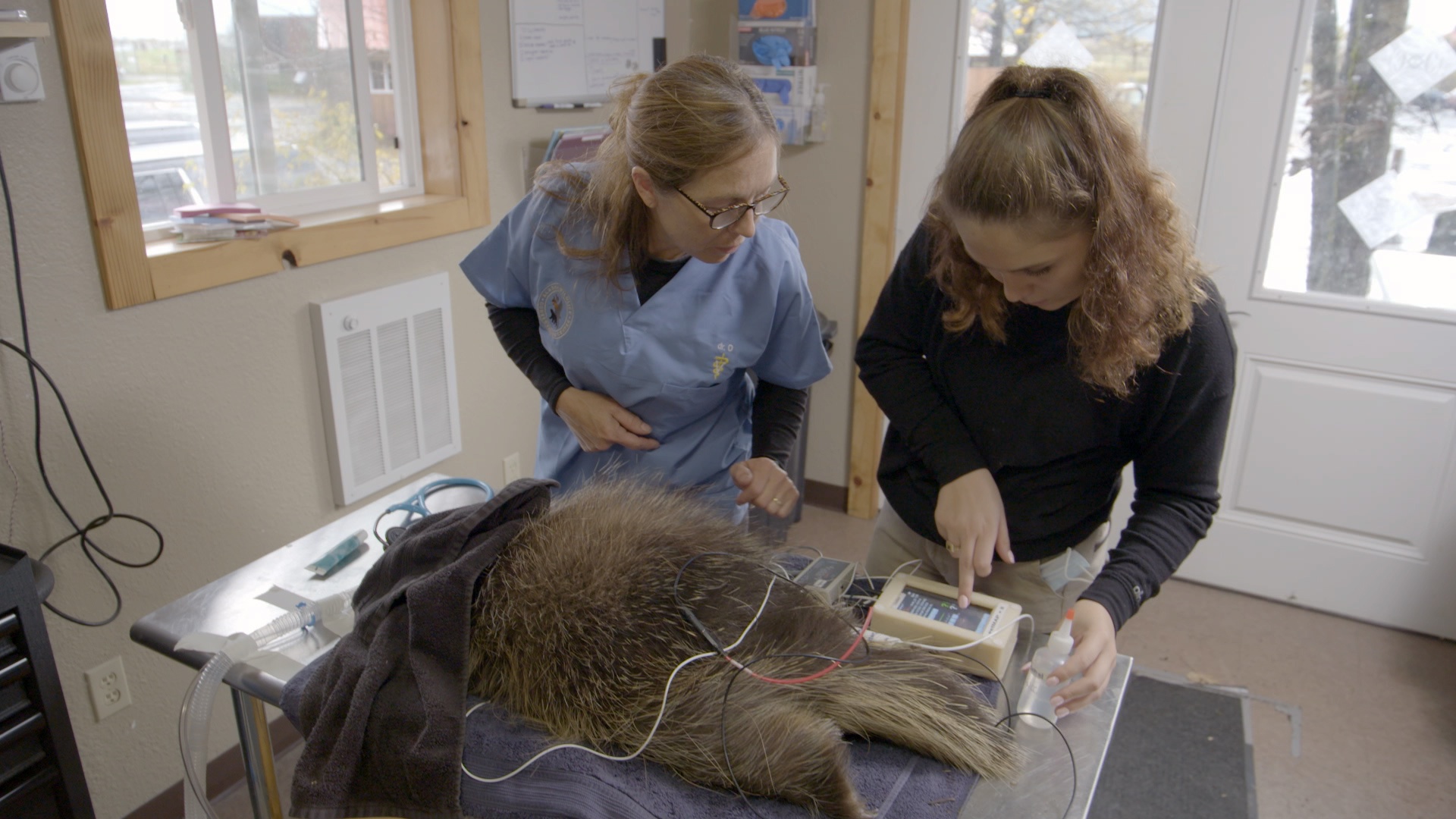 Ep706_IfLooksCouldQuill_DrOakleyYukonVet_LR_18.jpg