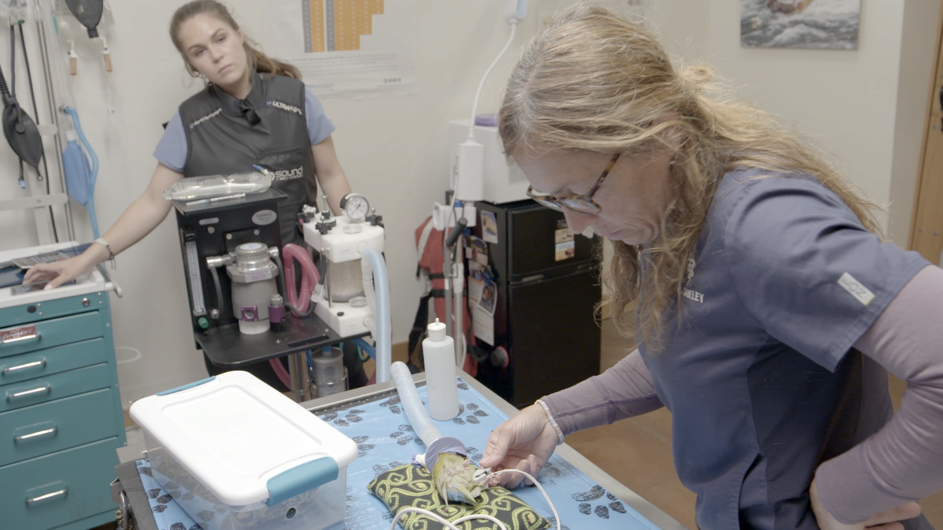 Ep707_DrOakleyYukonVet_LR_08.jpg